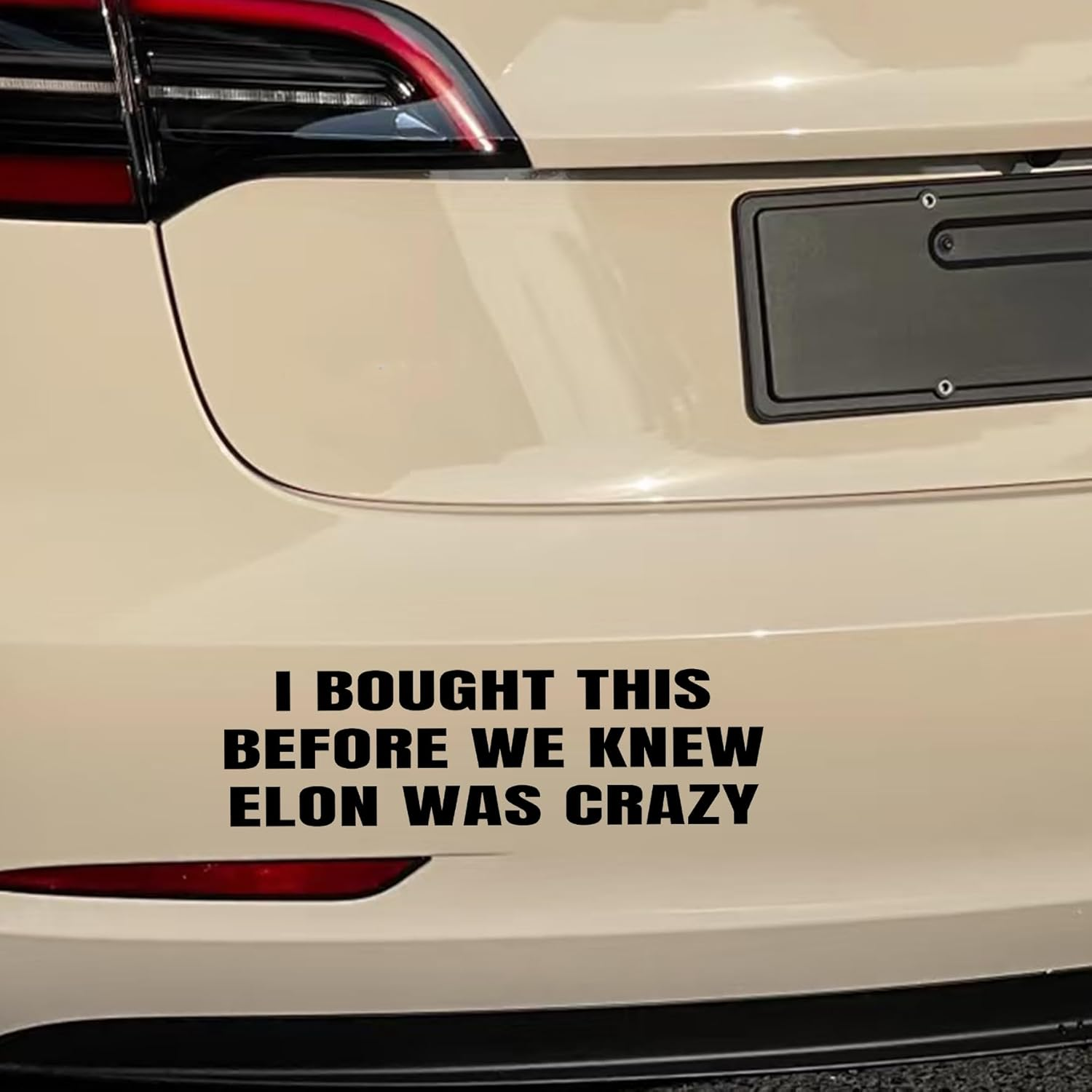 Anti Elon Car Decal Bumper Sticker I Bought This before We Knew Elon Was Crazy! Elon Musk Elon Sucks Vinyl Decal Cling for Car Bumper, Laptop, Wall, Window (Black)