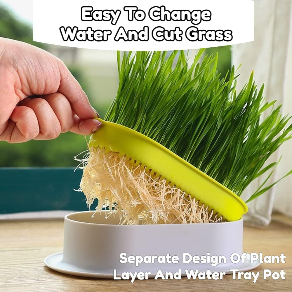 Cat Grass Planter Plastic Grass Box for Indoor Cat Grass,Practical Soil Free Growing Containers (Pink2) - Pink1 image number 2