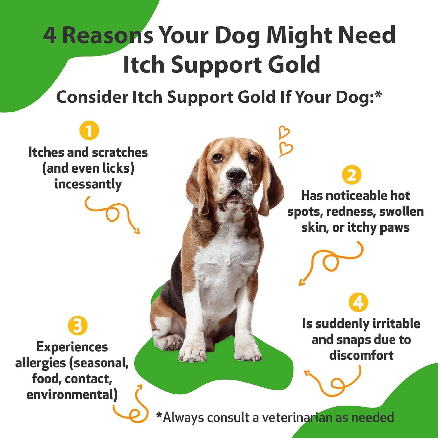 Pet Wellbeing Itch Support Gold for Dogs - Occasional Itching, Scratching, and Hot Spots, Environmental and Seasonal Allergies, Dong Quai - Veterinarian-Formulated Herbal Supplement 2 Oz (59 Ml) image number 6