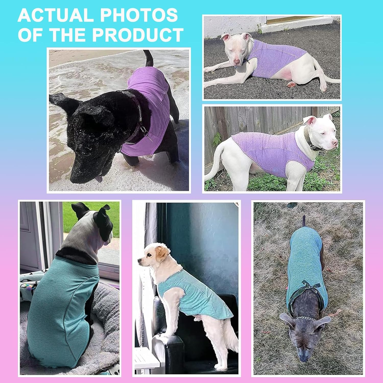 Pack of 2 Dog Shirts with Reflective Stripes, Athletic Tank Top, Dog Shirt for Small Dogs, Breathable Sleeveless Dog Vest, Lake Blue + Purple, M image number 3