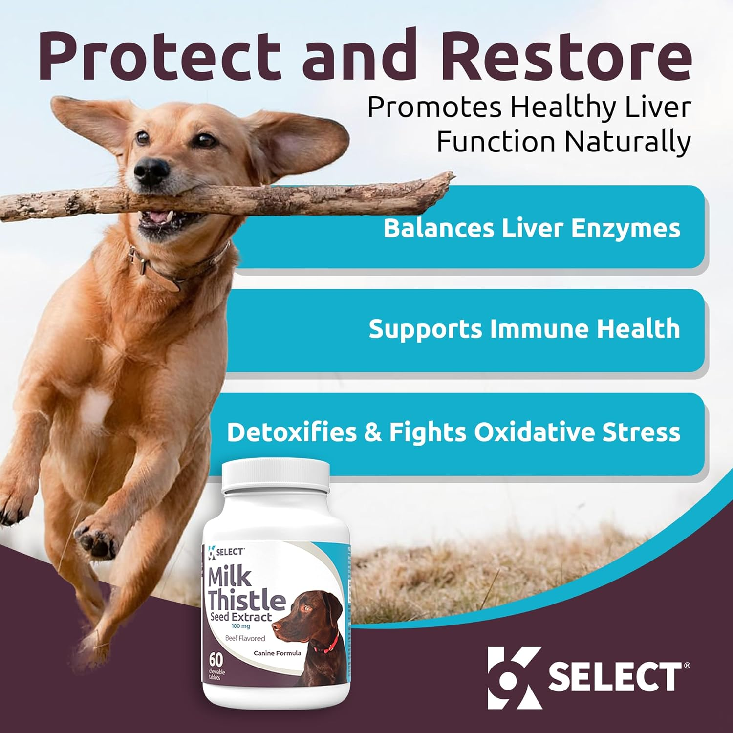 K9 Select Milk Thistle for Dogs, 100Mg - 60 Beef Flavored Tablets - Canine Liver Health Natural Milk Thistle Supplement image number 1