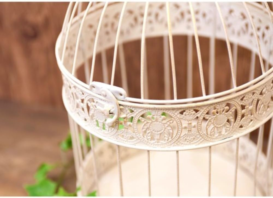 Akizuki Boeki Florist Bird Cage, round S/2, Antique White, L: W9.8 X D9.8 X H18.5 Inches (25 X 25 X 47 Cm), M: W 7.5 X D 7.5 X H 14.6 Inches (19 X 19 X 37 Cm), NBC302RD-W