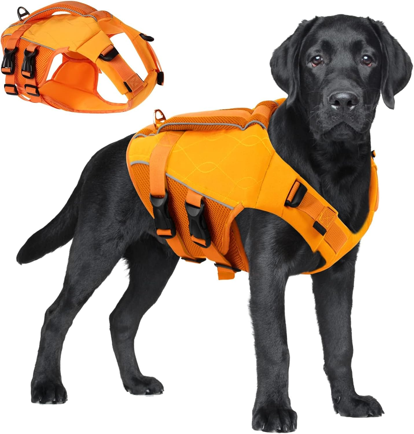 ASENKU Dog Life Jacket - Pet Safety Vest for Swimming & Boating, Shark Life Jacket with Floatation, Dog Lifesavers Swimsuits for Small Medium Large Dogs (Green, XS)