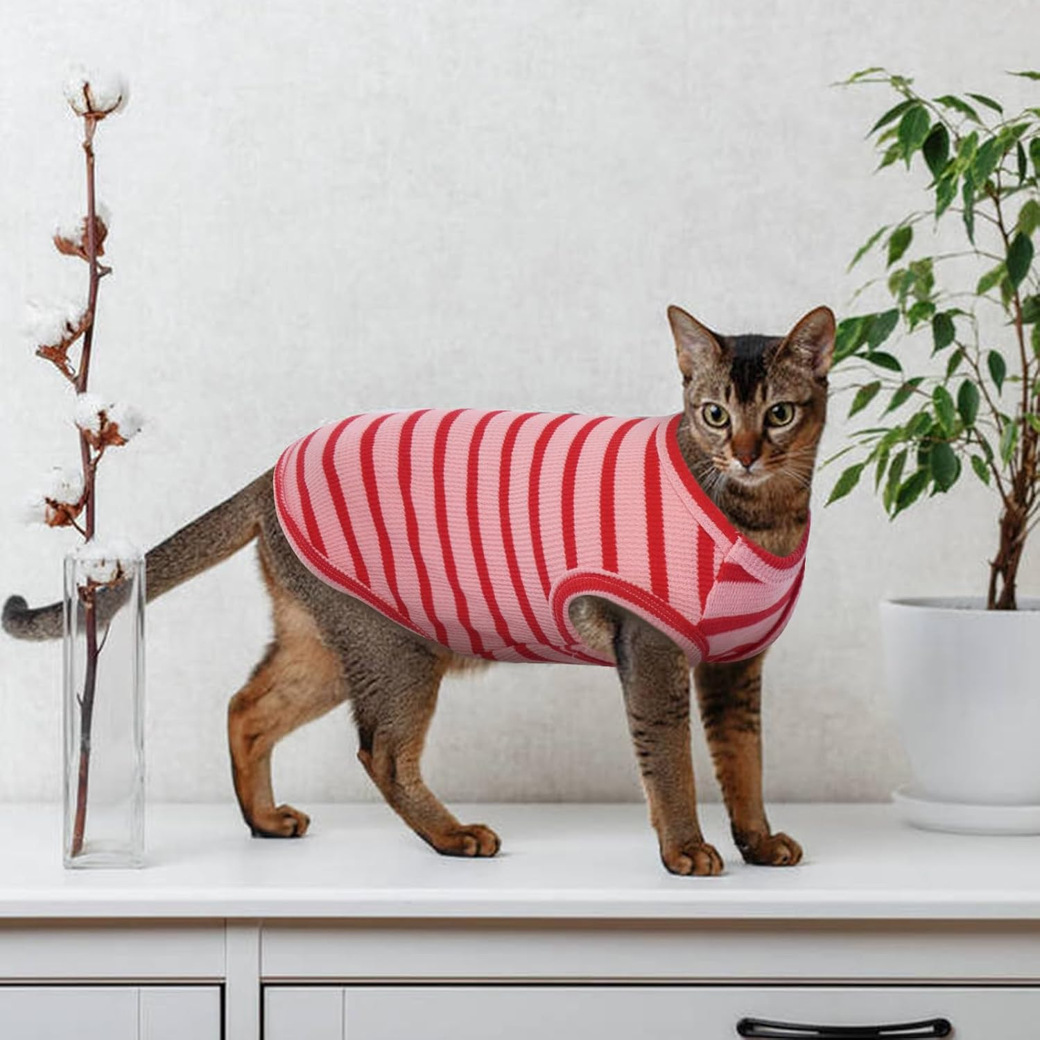 OUOBOB Sphynx Cat Clothes, Breathable Hairless Cat Shirts, Stripe Kitten T-Shirts Sleeveless, Pullover Cat Sweaters, Pet Summer Apparel for Sphynx, Cornish Rex, Devon Rex, Peterbald, Small Dogs image number 4
