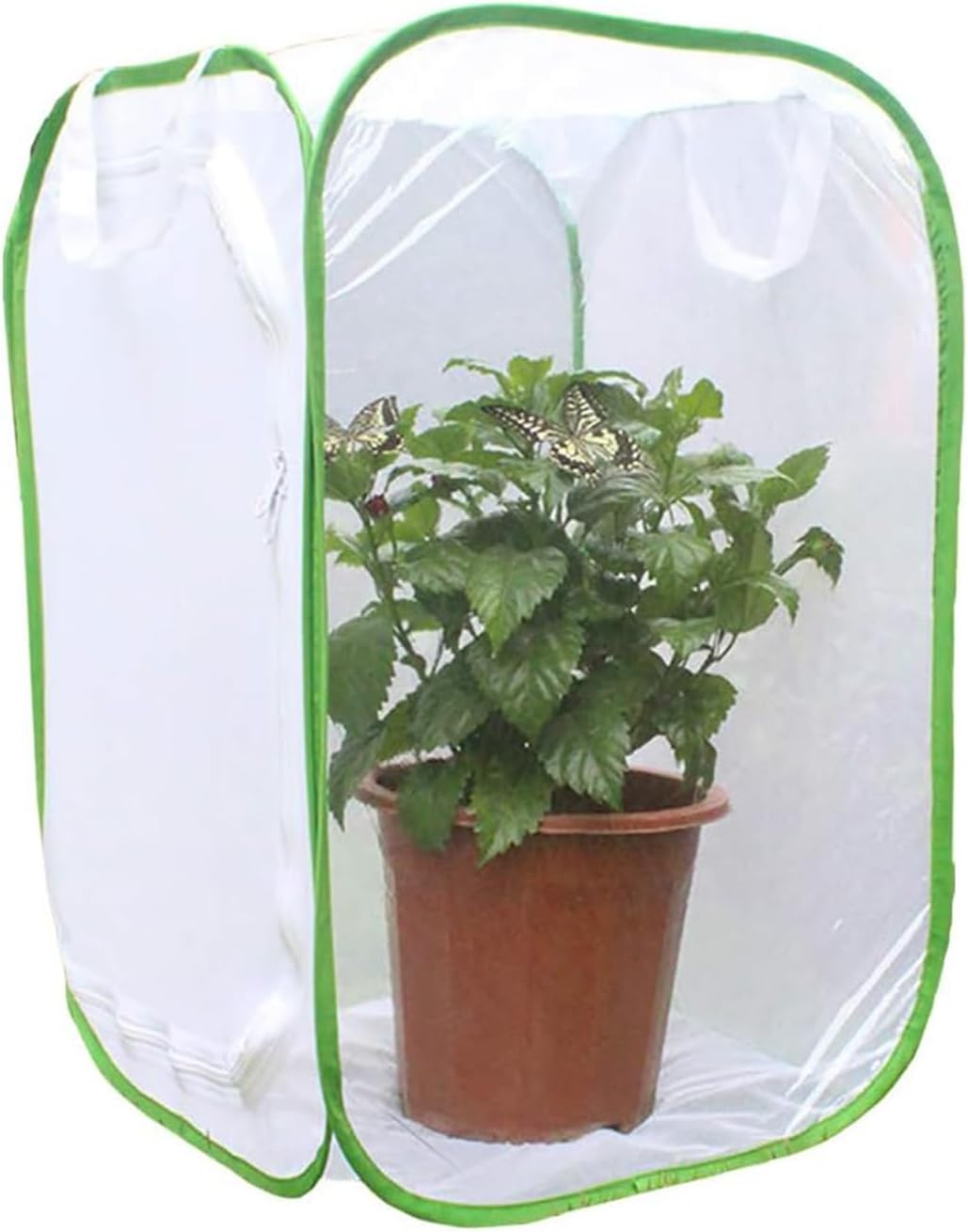 Professional Butterfly Habitat Insect Cage 15.7 X 15.7 X 23.6 Inch Caterpillar Enclosure Pop-Up Polyester Bottom for Easier Clean image number 4