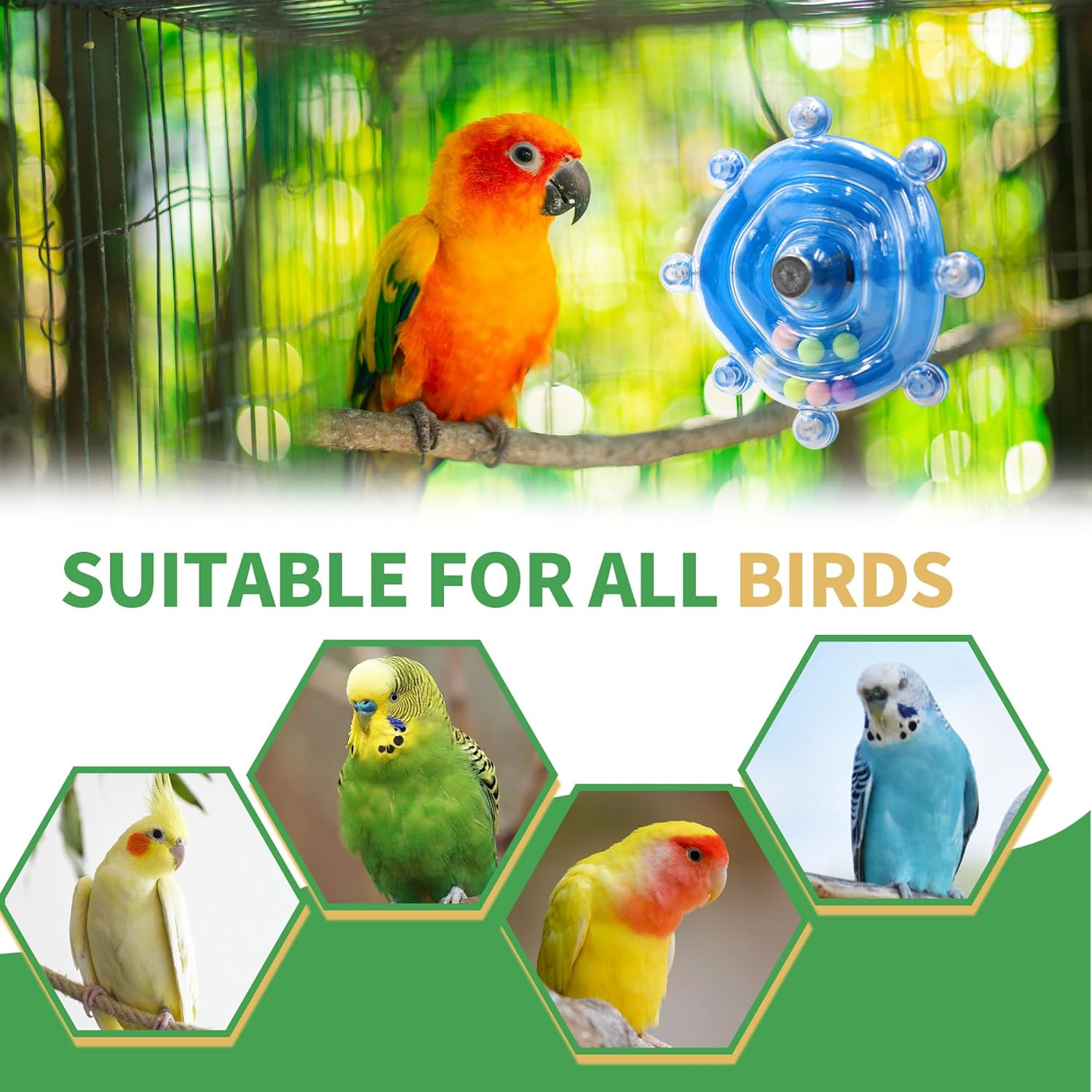 Bird Toys for Parakeets, Interactive Spinner Rattle Budgie Toys, Rotating Wheel Chew Parrot Toys for Medium Birds Small Cockatiels Conures Enrichment Toy (Blue)