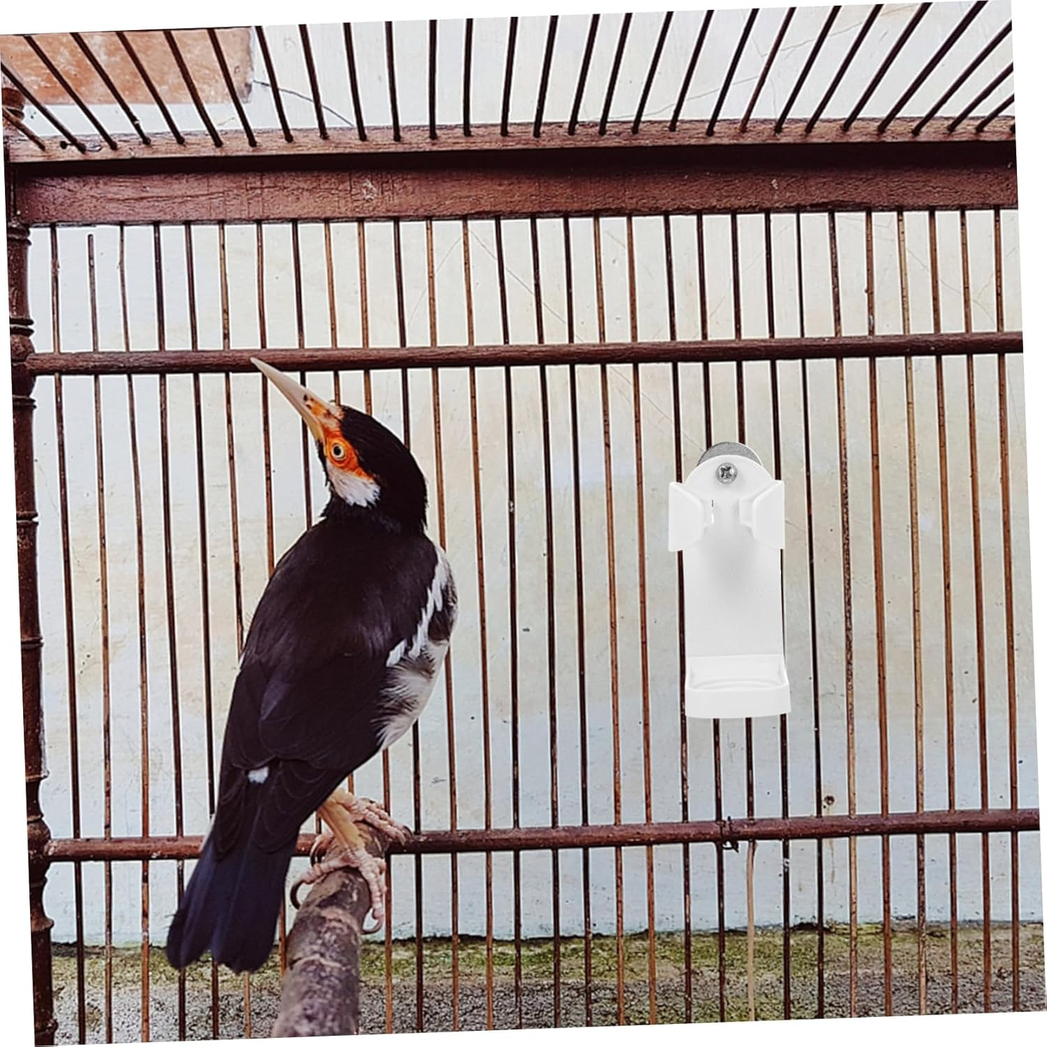 3Pcs Compact Pet Parrot Feeder Clips Bird Fruit Clamps Quick-Fix Clamps for Bird Cages Tidy Clean image number 6