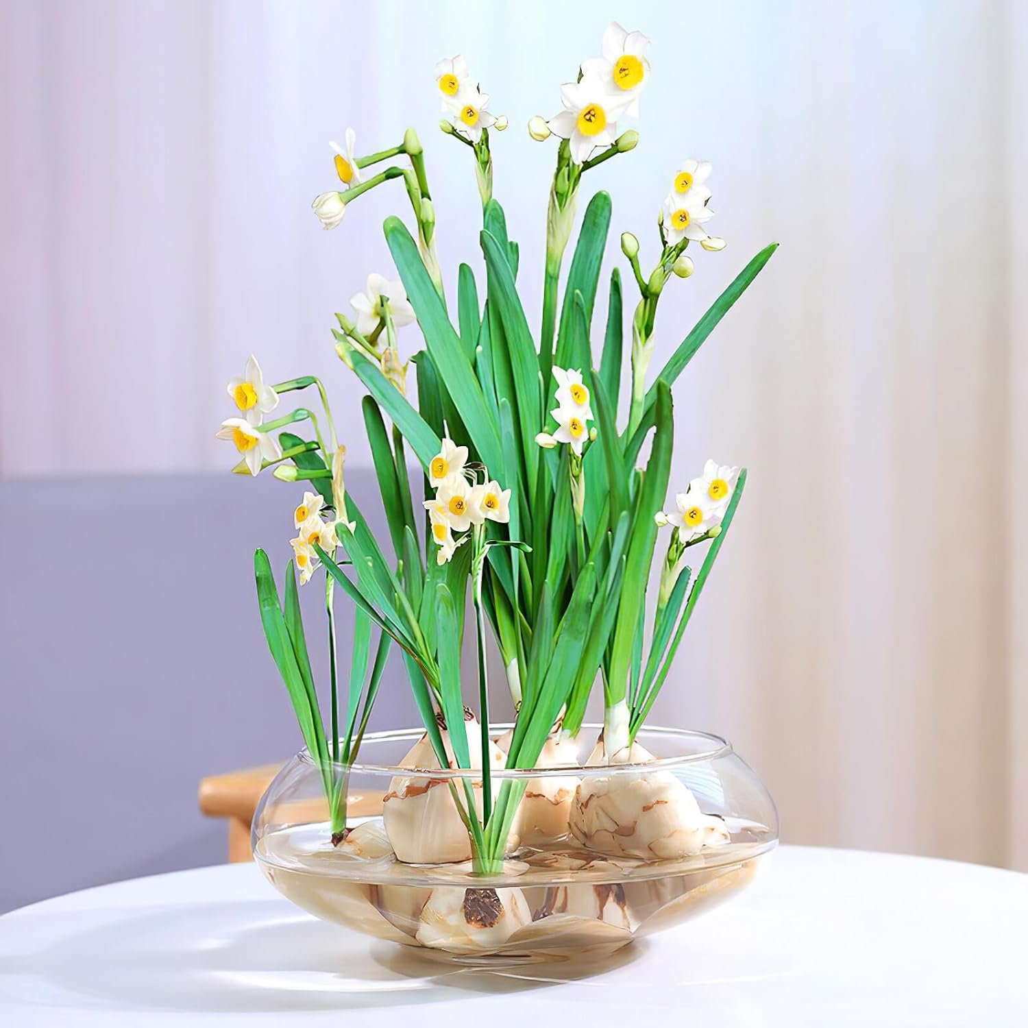 GALPADA Desktop Plastic Goldfish Tank for Home Decor Decorative Fish Bowl for Plants Aquatic Pets for Friends Family image number 2