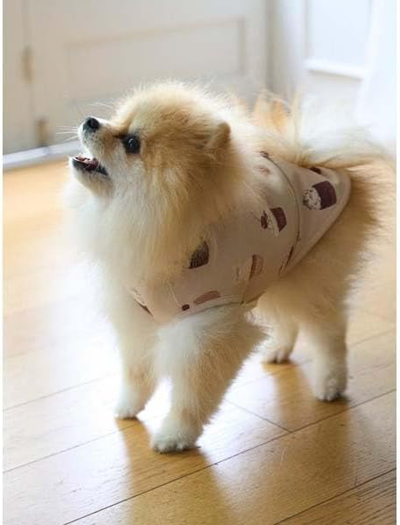 Gelato Pique Cat & Dog PAGG244587 CAT & DOG Cupcake Pattern Pullover image number 6