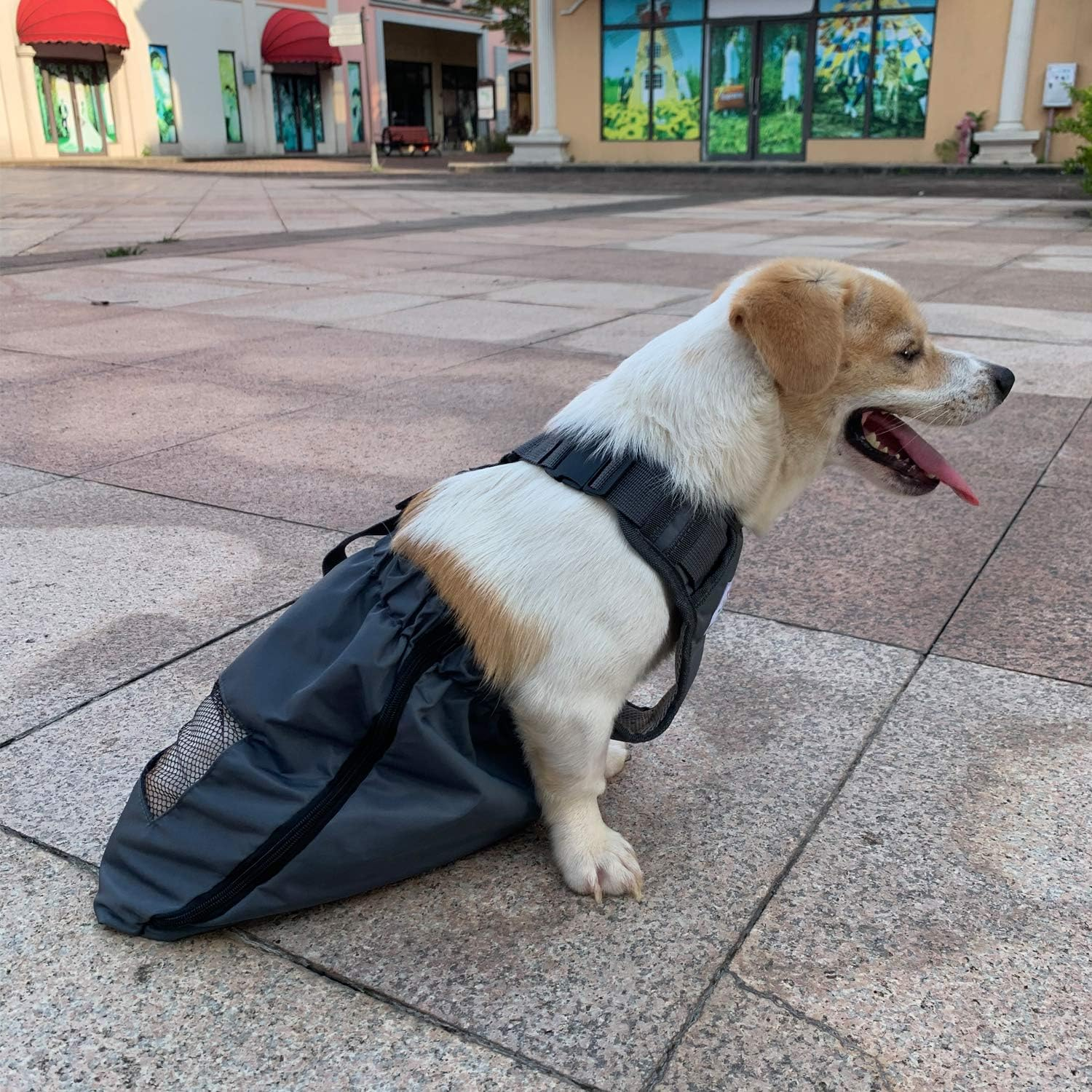 Deryep Dog Drag Bag Durable Indoor Wheelchair Alternative for Paralyzed Disabled Back Rear Legs Dog Protects Chest and Limbs (XS/S) image number 3