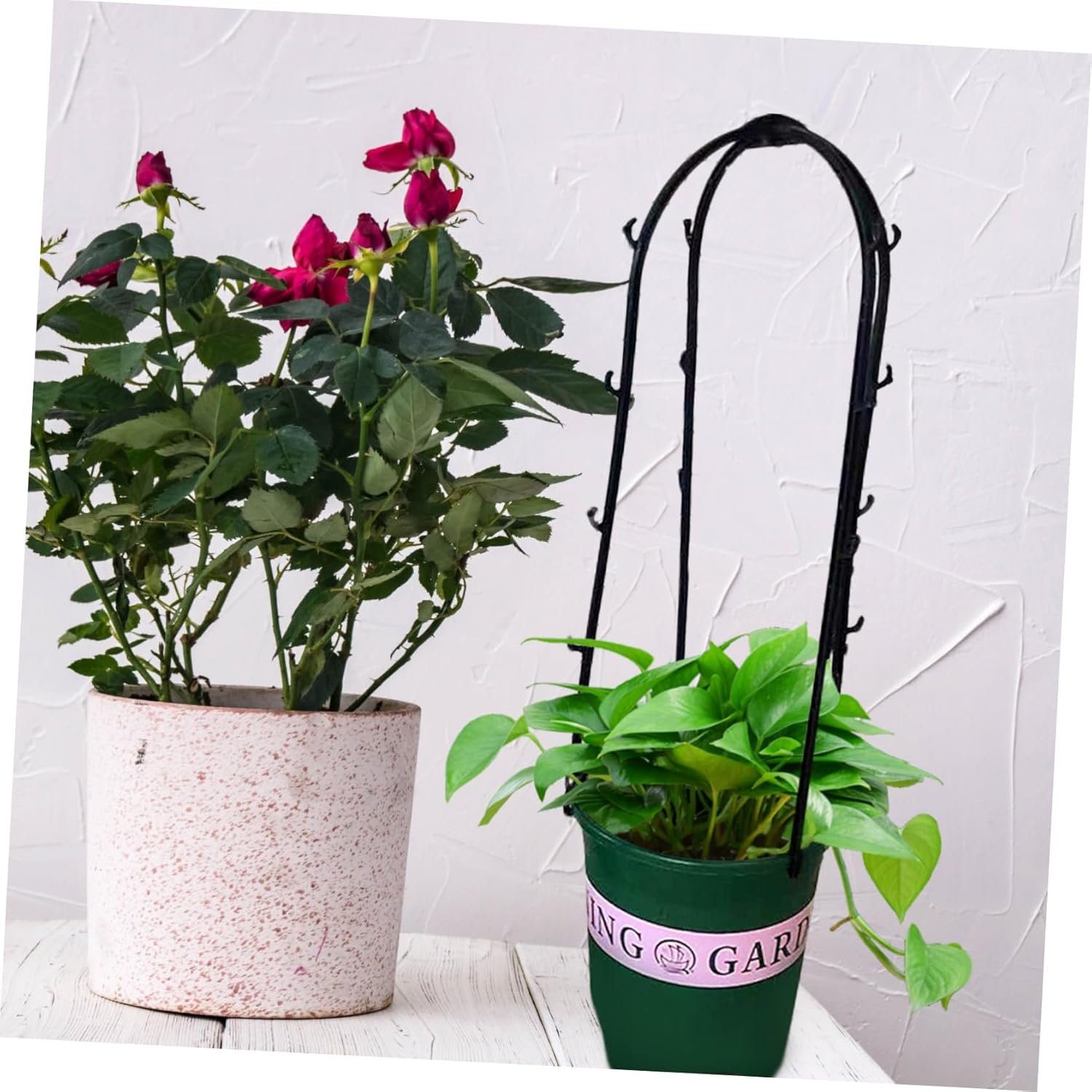 BESPORTBLE 6Pcs Indoor Plant Trellis Plastic Climbing Rack Comfortable Hand Feeling Gardening Plant Accessories image number 1