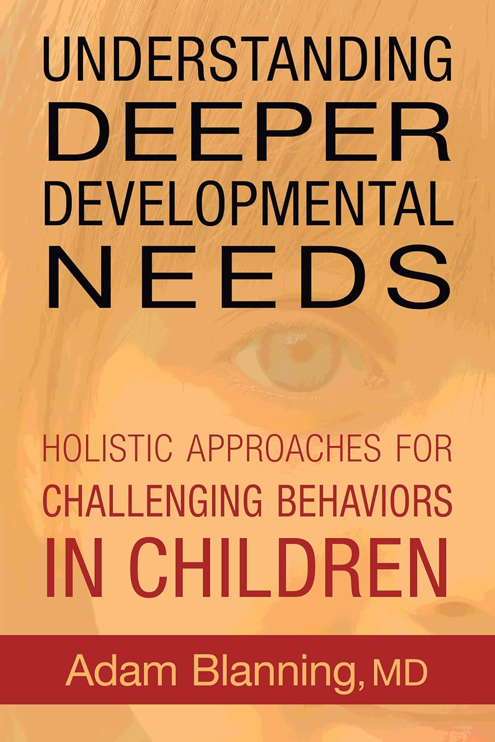 Understanding Deeper Developmental Needs: Holistic Approaches for Challenging Behaviors in Children