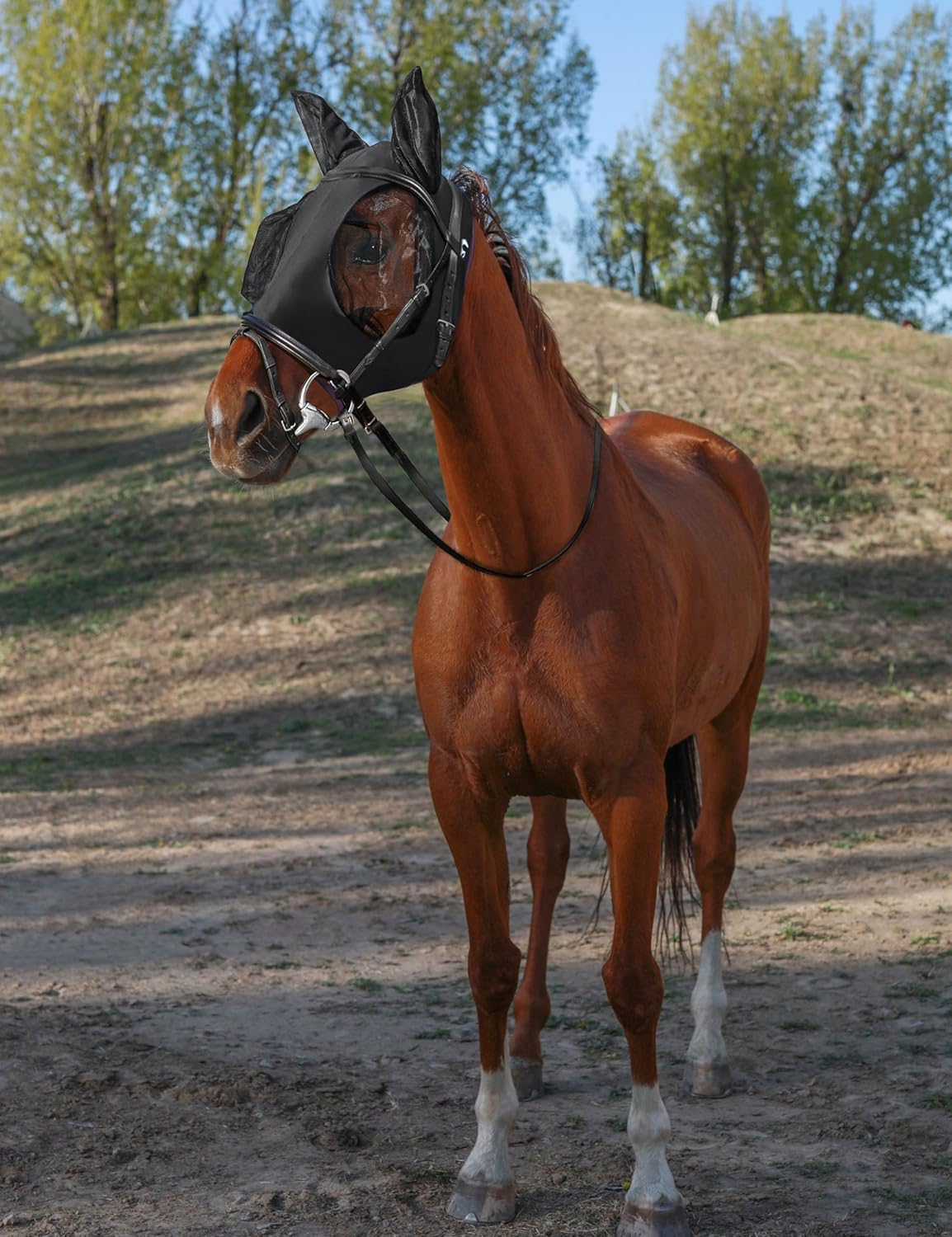 Horse Fly Mask with Ears, UV Protection for Horses, Elasticity with Big Mesh Eye Covers, Snug Fitting Comfortable Breathable Lightweight for Horses (Black, One Size) image number 3