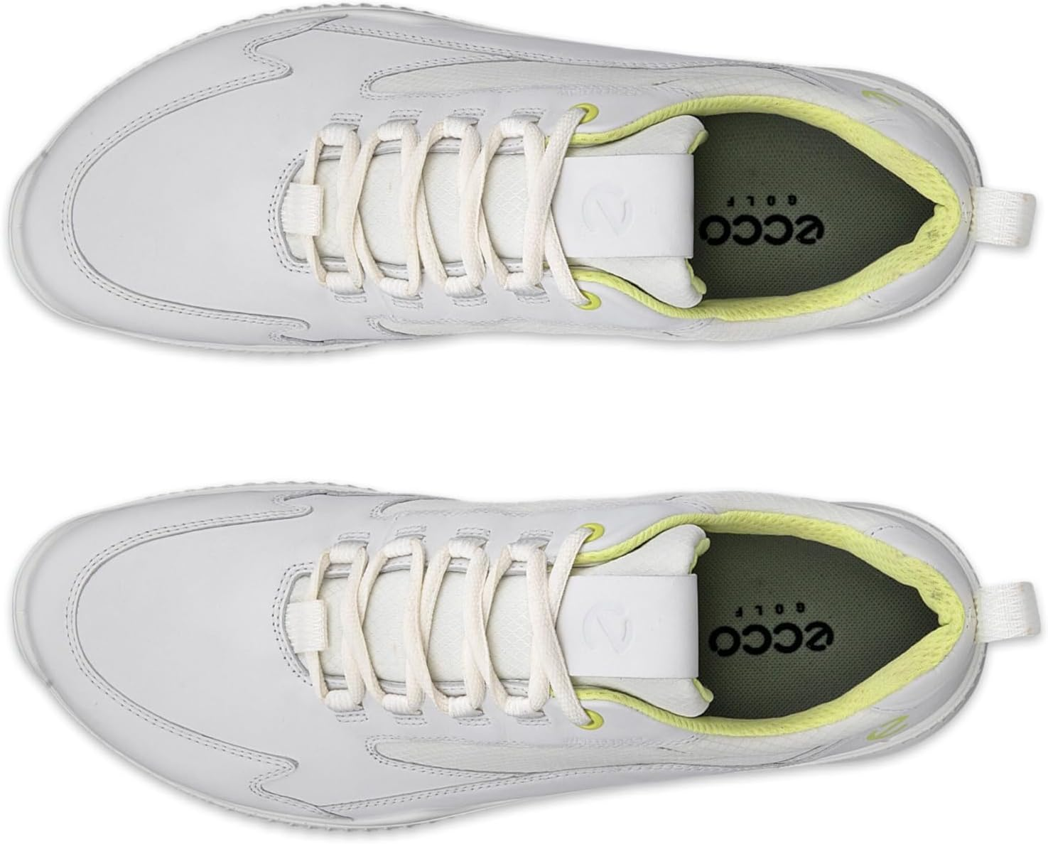 ECCO ECCO image number 4