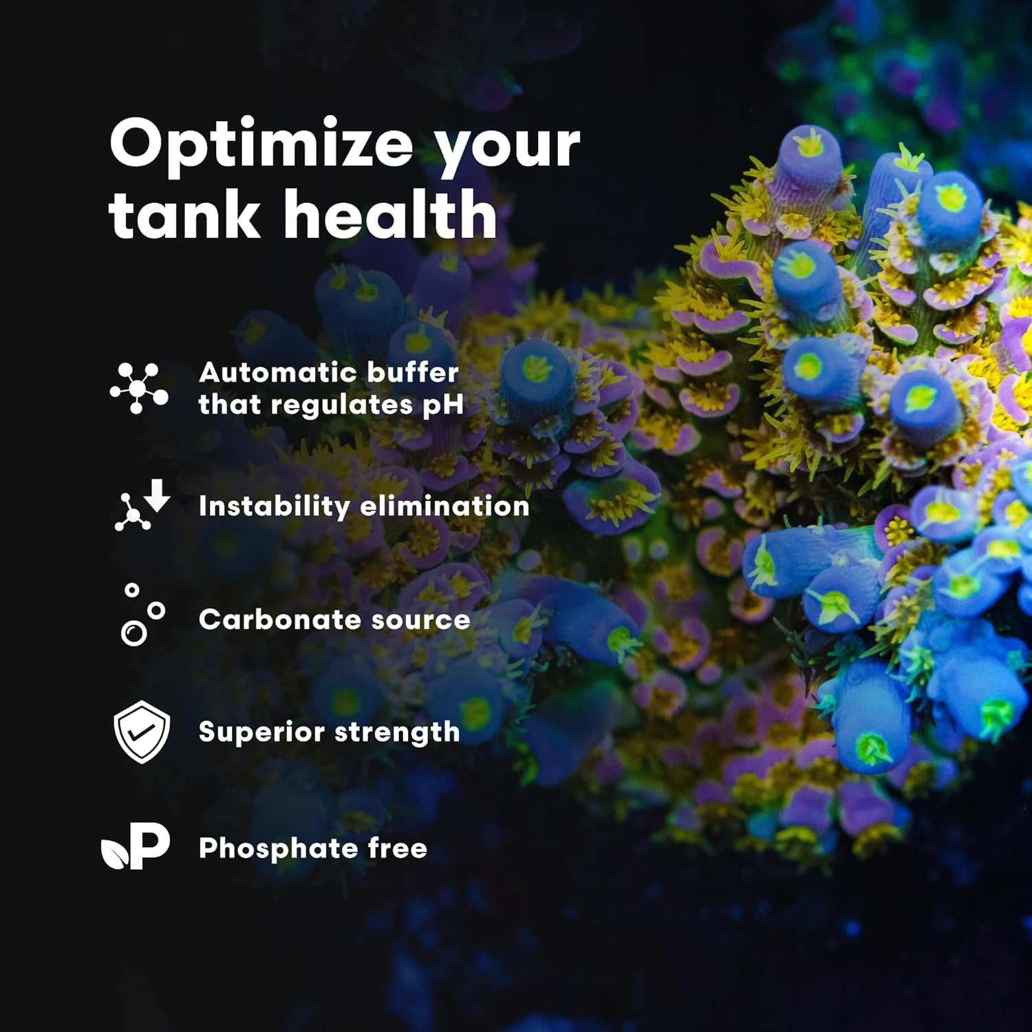 Brightwell Aquatics Alkalin8.3, Concentrated KH Buffer Supplement for All Marine Fish & Reef Aquaria, 250Ml image number 4