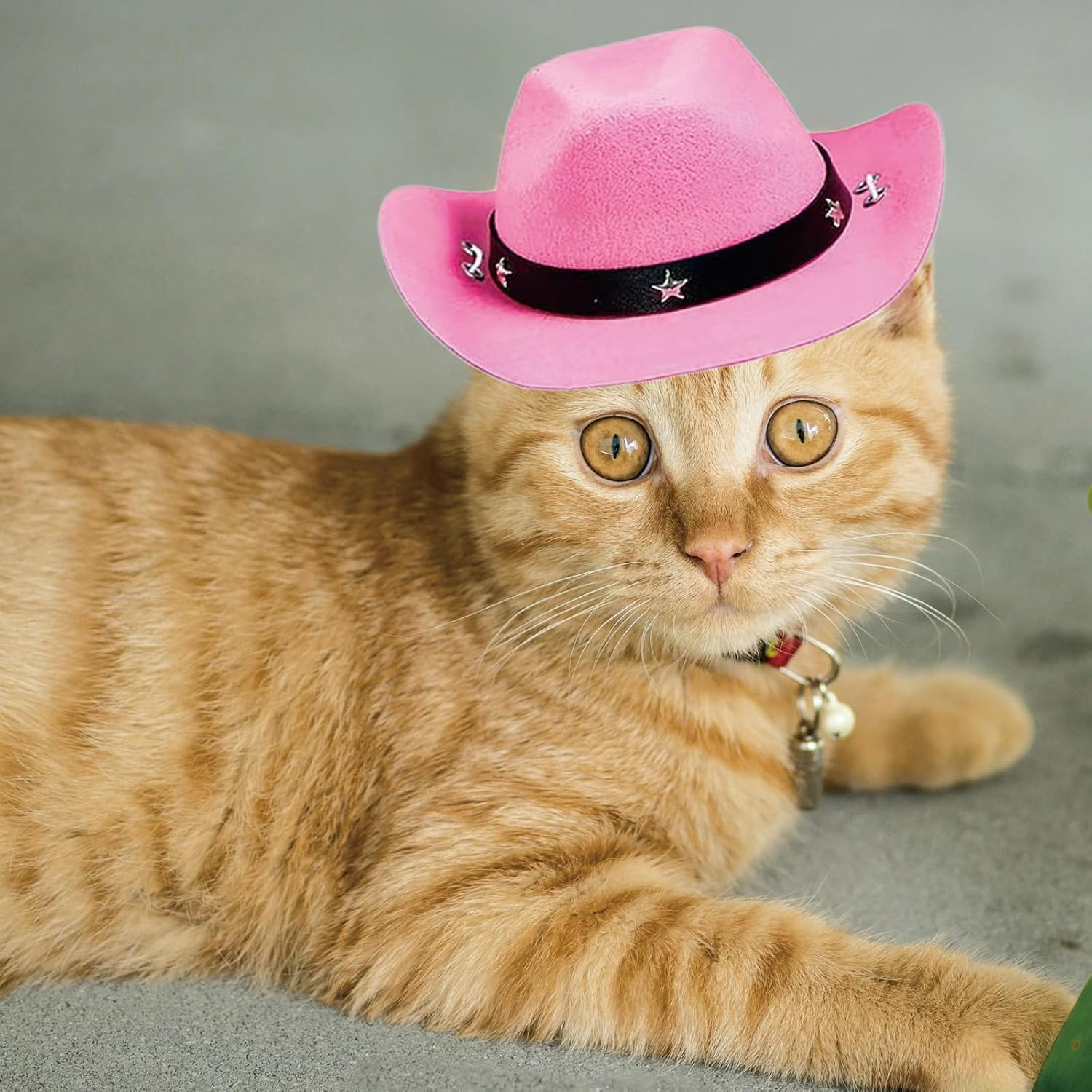 AWOCAN Pet Dog Costume Cowboy Hat Cosplay Cap Puppy Pet Dog Cat Holiday Pet Party Decoration (Pink) - Green image number 6