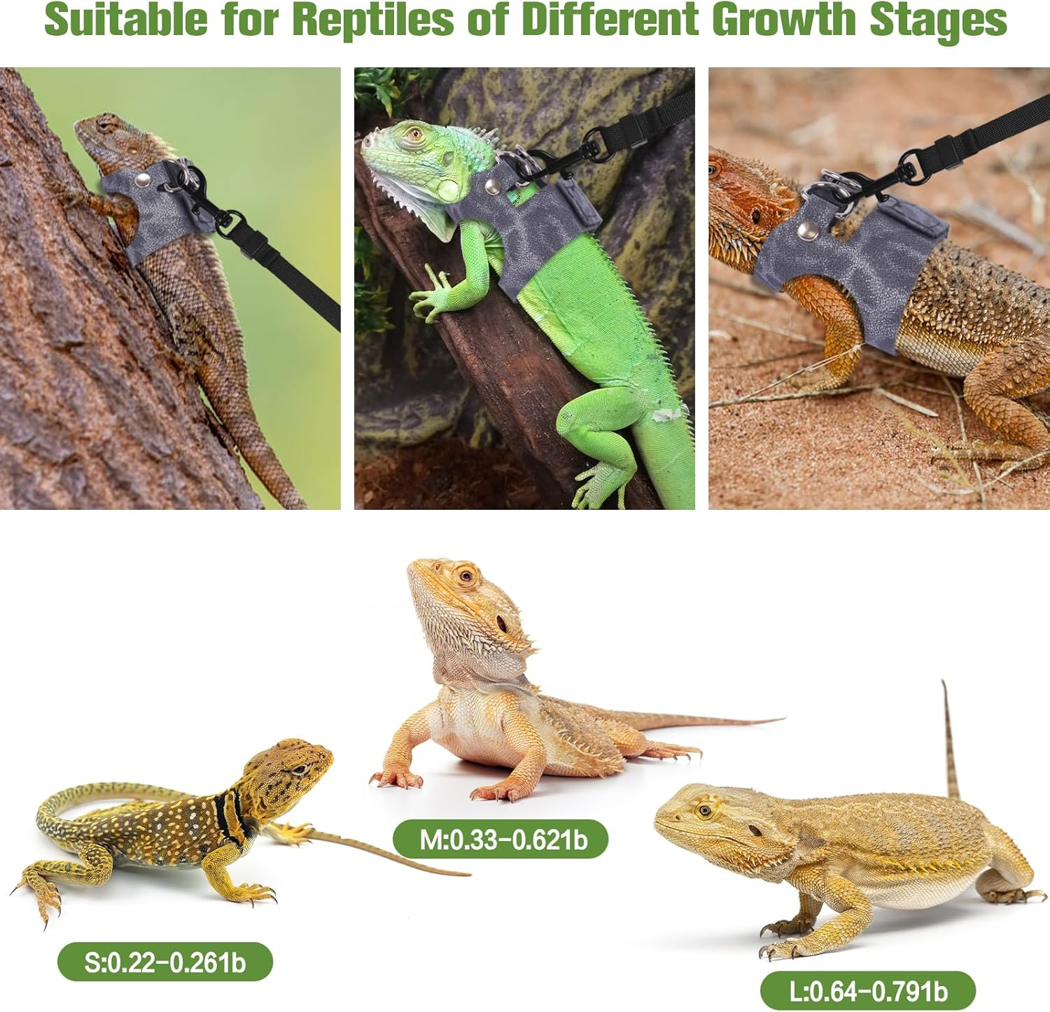 Bearded Dragon Lizard Leash Harness 3 Size Pack Leopard Print Lizard Harness Leash for Outdoor Small Reptiles Animal Squirrels (Blue) - Blue image number 5