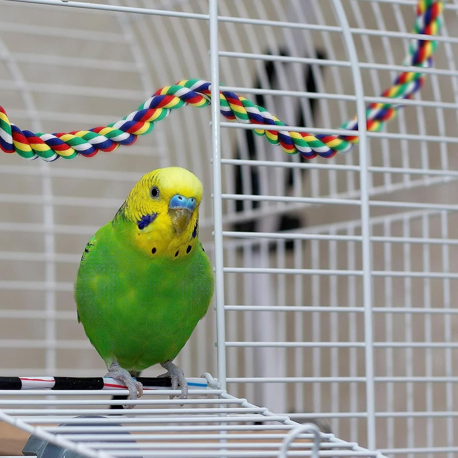 41.3Inch Bird Rope Perch Parakeet Toys, Spiral Bird Toy for Cockatiels, Bird Bungee Rope Perches Suitable Bird Cage Accessories image number 1