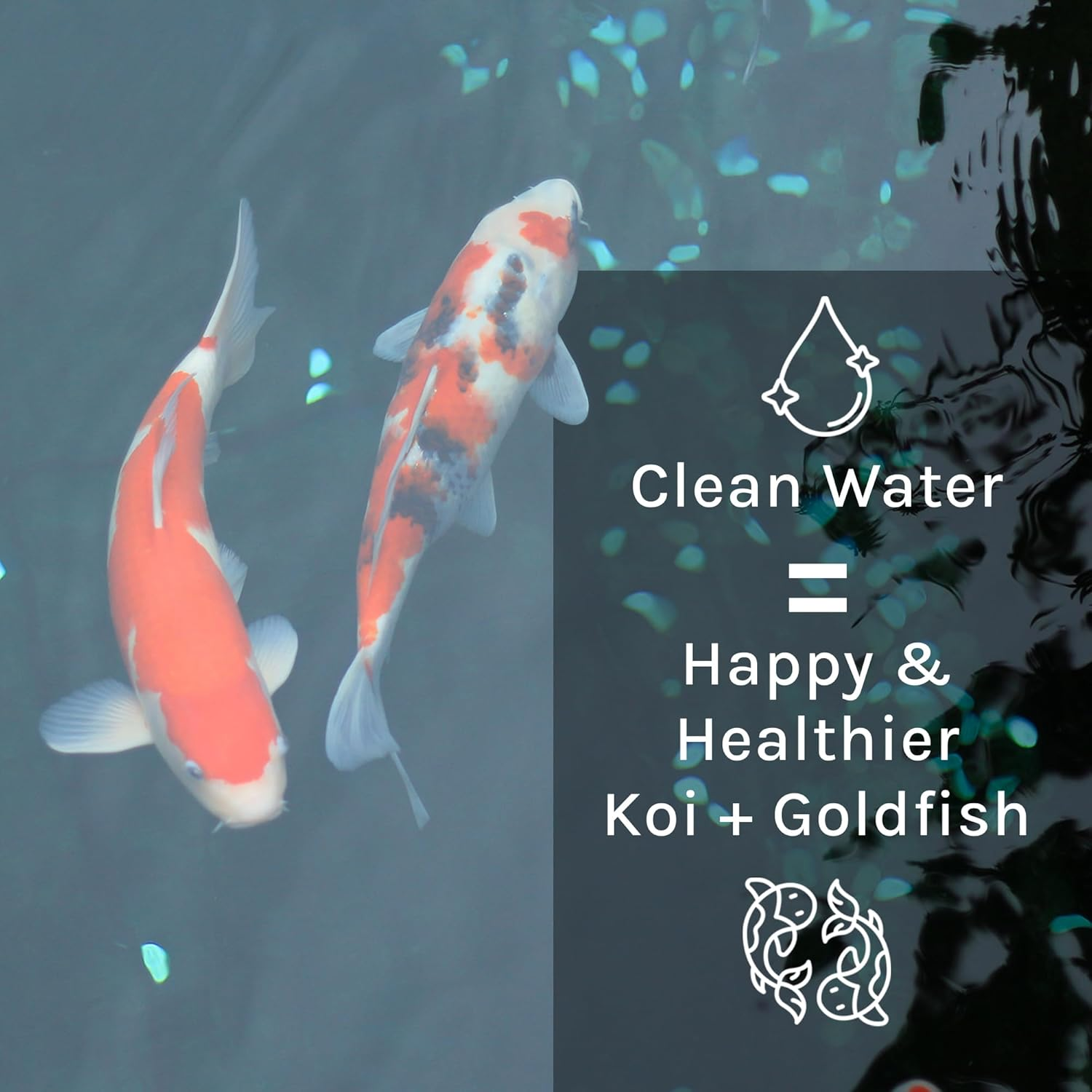 Microbe Lift 1-Quart Pond Microbe-Lift PL 10PLQ image number 3