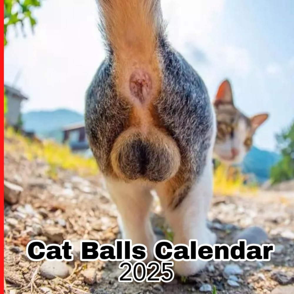 Cat Balls Calendar 2025