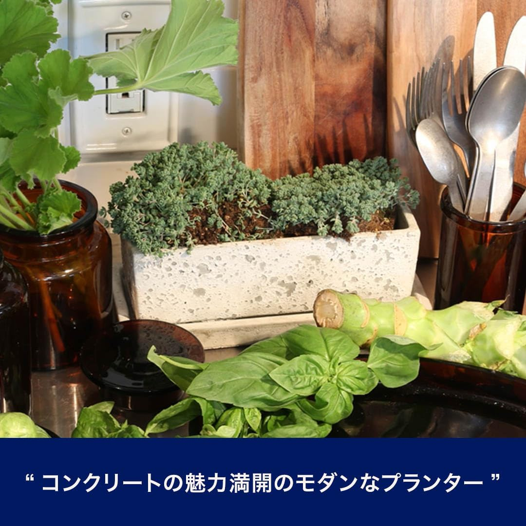 Dulton A555-426SPL Solid Planner Rectangular Plain, Small, Solid Planter, Gardening Supplies, image number 2