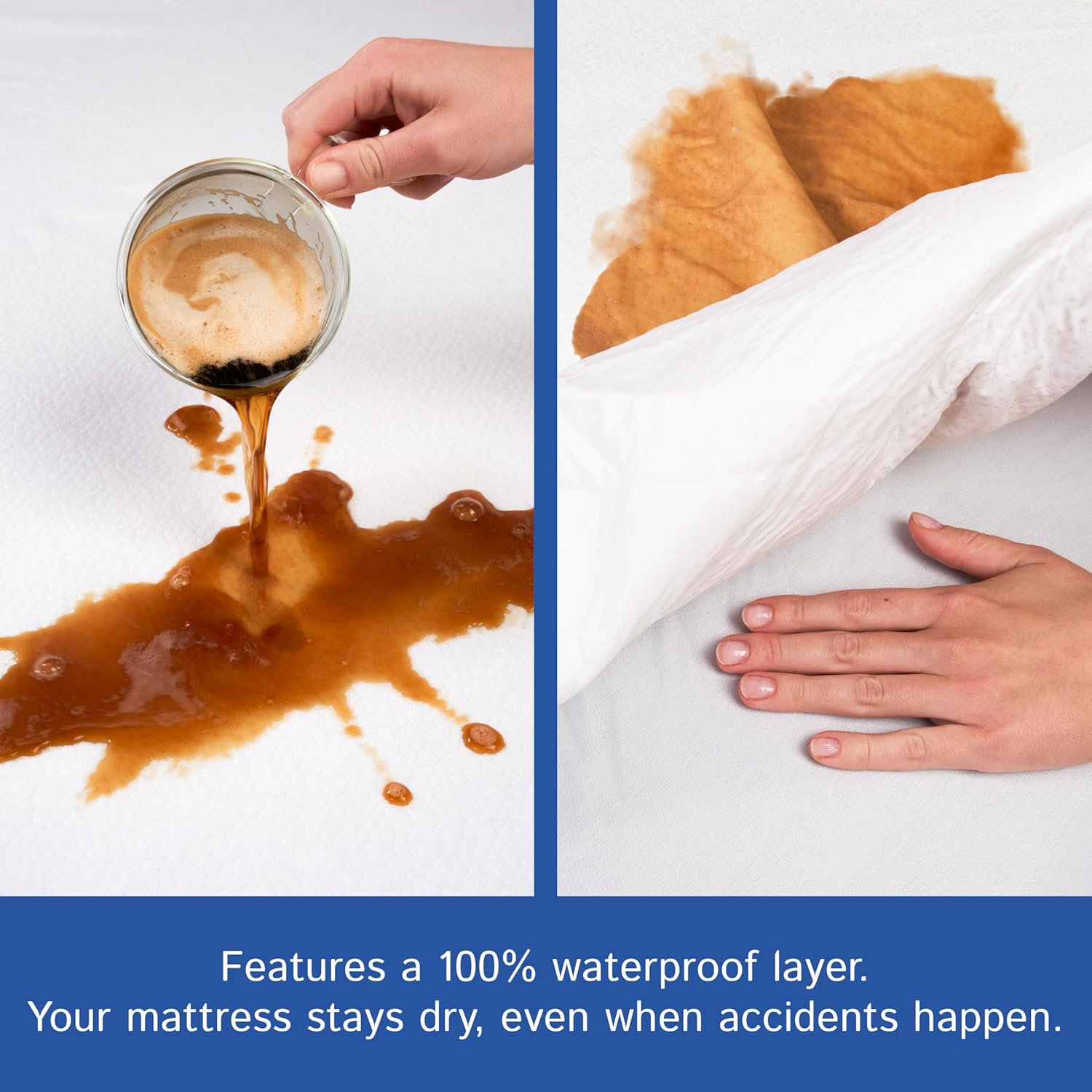 Four Seasons Essentials Queen Mattress Protector Bedbug Waterproof Zippered Encasement Hypoallergenic Premium Quality Cover Protects against Dust Mites Allergens image number 2