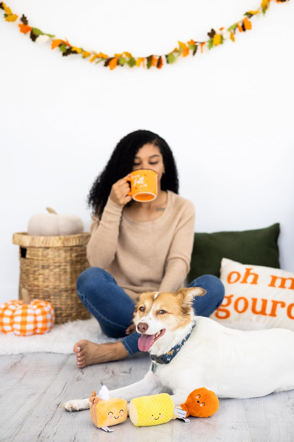 Pearhead Thanksgiving Dinner Dog Toys, Set of 3, Plush Dog Toys, Squeaky Dog Toy, Fall Pet Toys image number 2