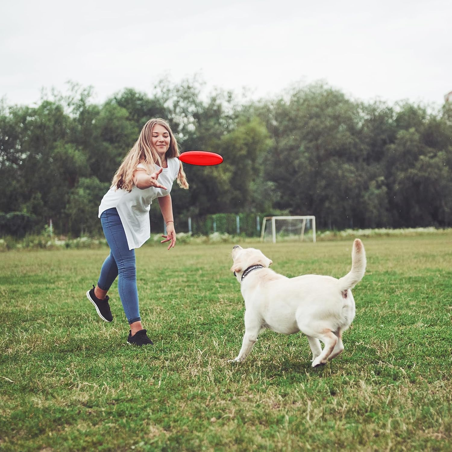 React Faster Training Interactive Toys, 2 PCS Dog Flying Discs for Small, Medium Puppies (17.8Cm/7In) image number 6
