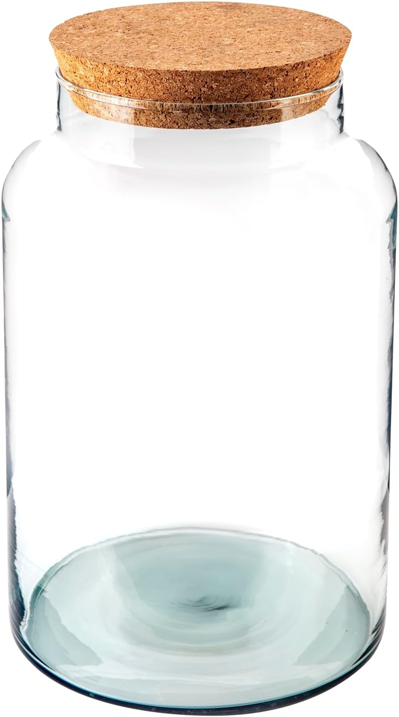 Generic Terrarium Glass Bottle with Lid, Clear, Medium image number 4