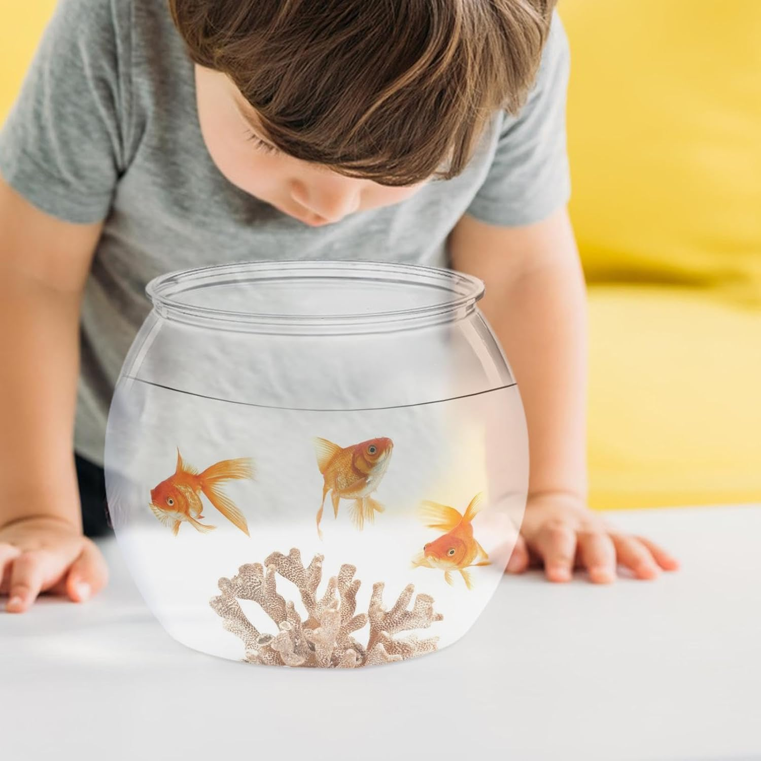 Fish Tank Bowl - Terrarium round Tank, Clear Bubble Bowl | Betta Fish Tank Plant Pot with 360 Viewing Design, Shatterproof Pet Fish Enclosure Display Bowl for Desktop Home Offices, 27.94X24.38Cm image number 6