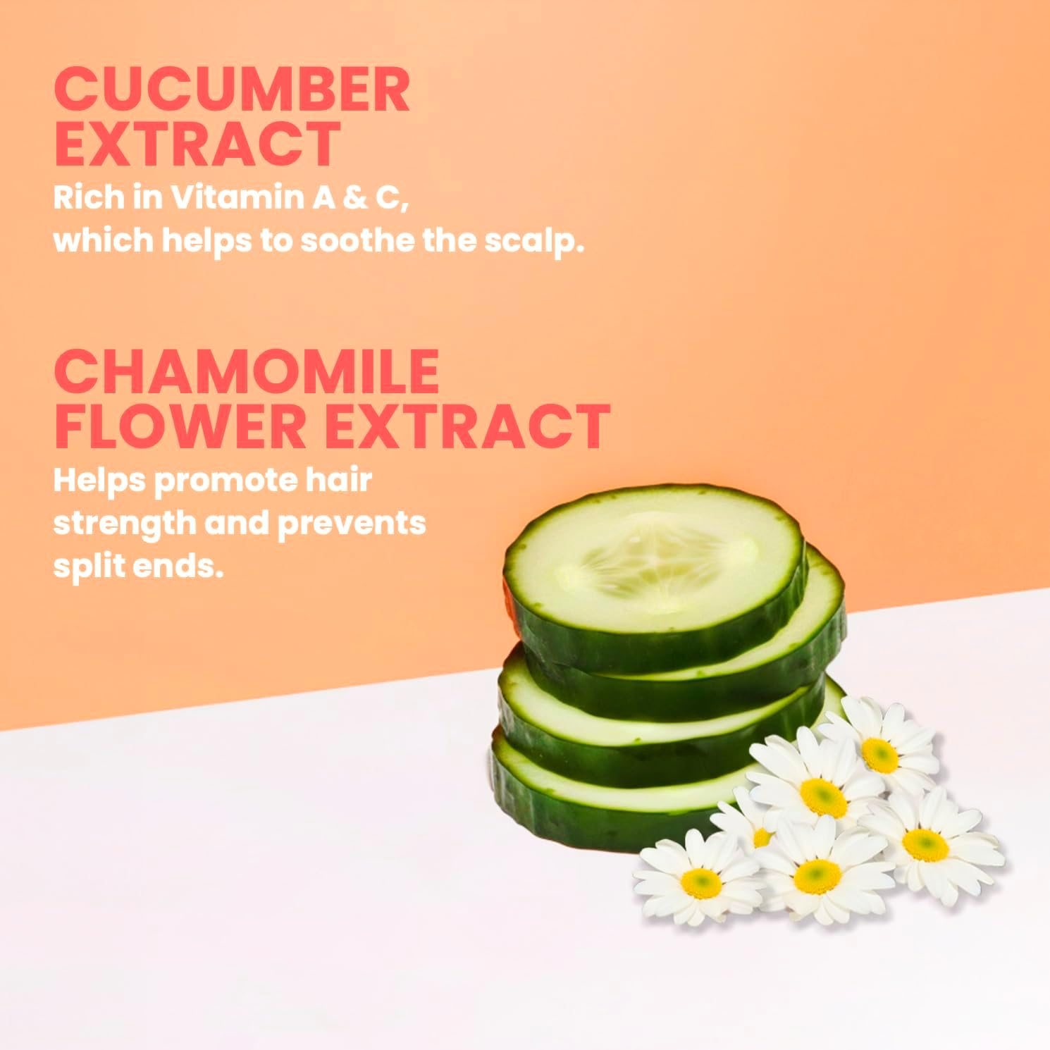 ELEVEN Australia Miracle Hair Treatment Shampoo, 300Ml, Liquid, All Hair Types, Hydrating, Frizz Control, Split End Prevention image number 5