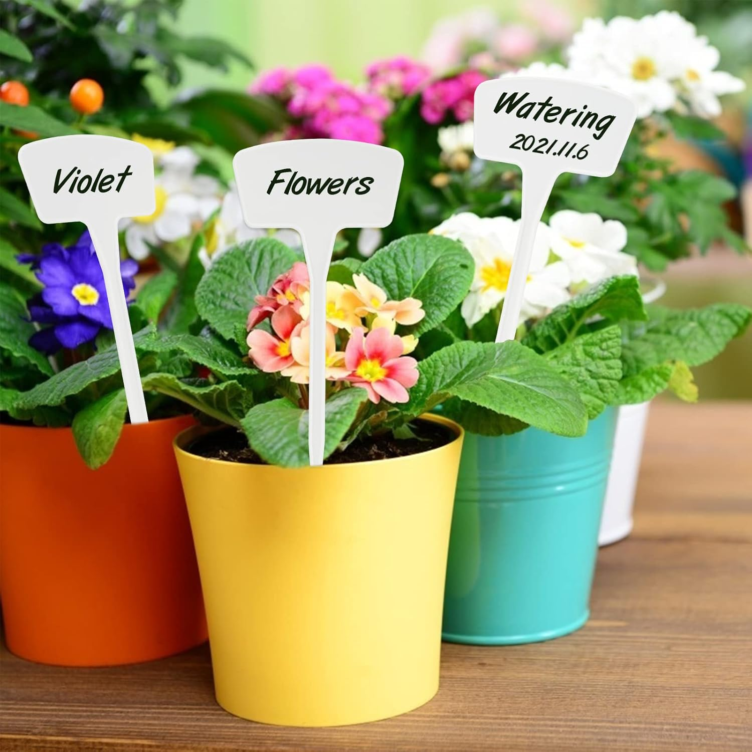 Plastic Plant Labels,10.4 Inch 30 Pack Outdoor Garden Tags Thick Garden Labels,Waterproof Sturdy Nursery Garden Markers,Strong Large Plant Markers for Vegetable Plants,Fruits,Flowers image number 3