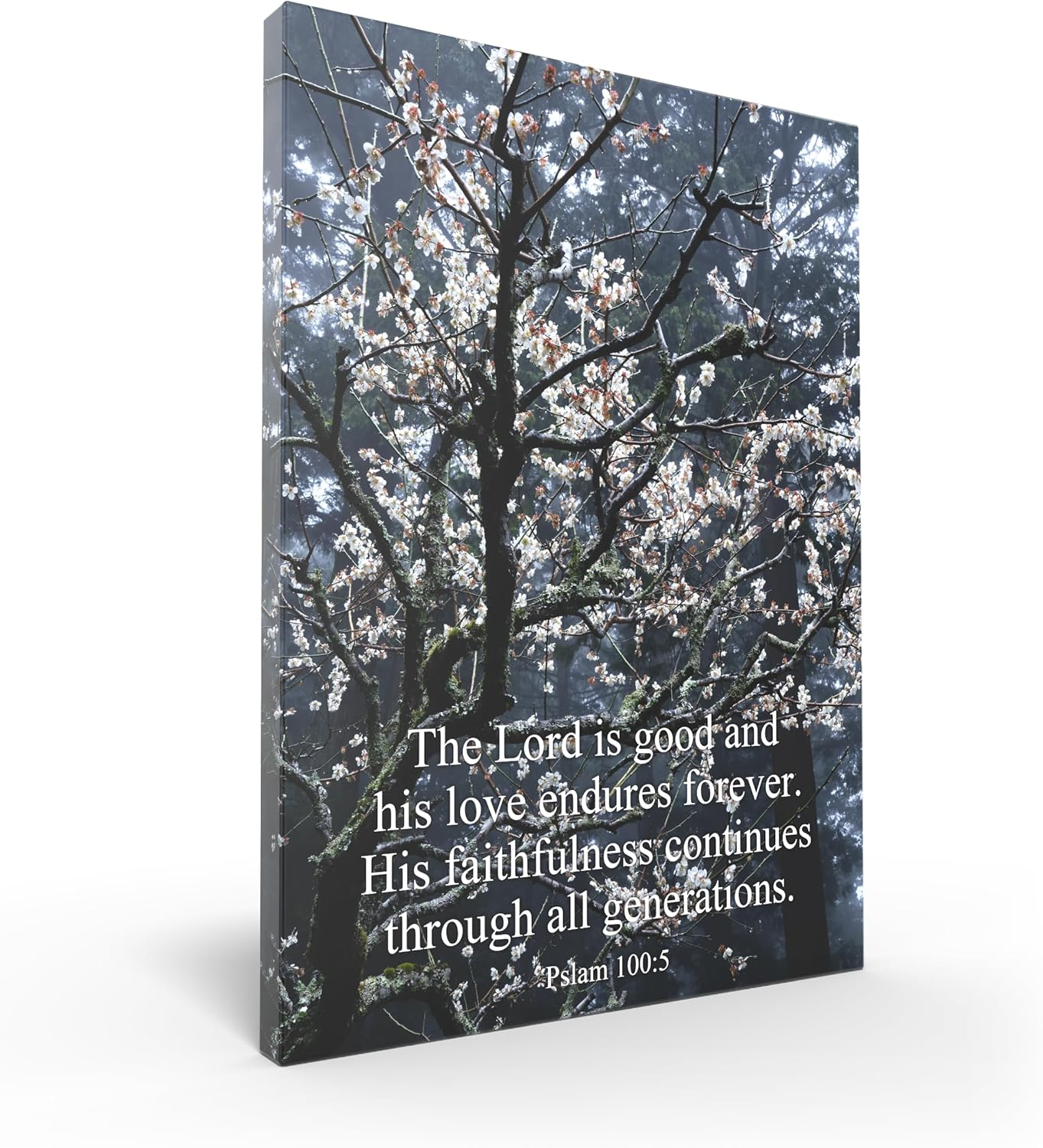 Tomuu Erissa Bible Verses Wall Decor 30X40 Cm - Canvas Scripture Wall Art with Christian Gift Tree on Ice Lake - Psalm 23:4 - Inspirational Bible Verse for Home, Church, Office Decor