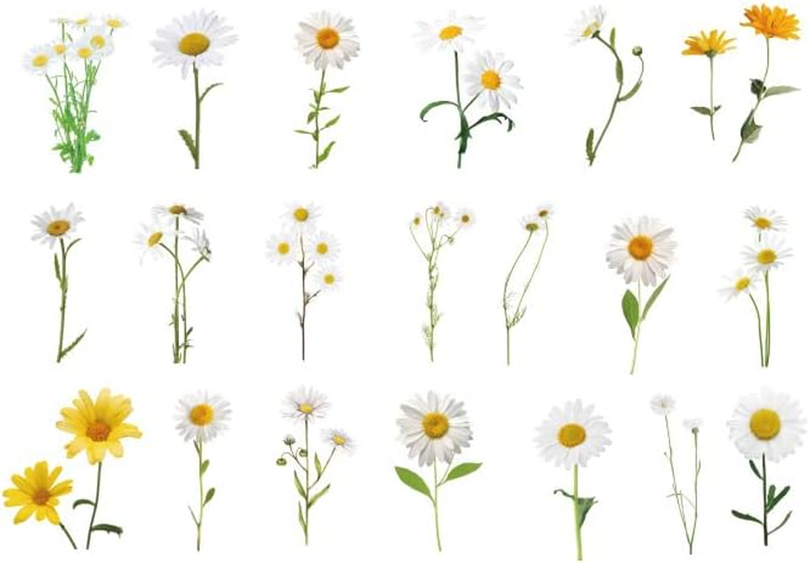 40 PCS Scrapbooking Flower Feather Stickers Journal Diary Transparent Sticker, 40-60Mm Size Range, Lightweight and Vibrant