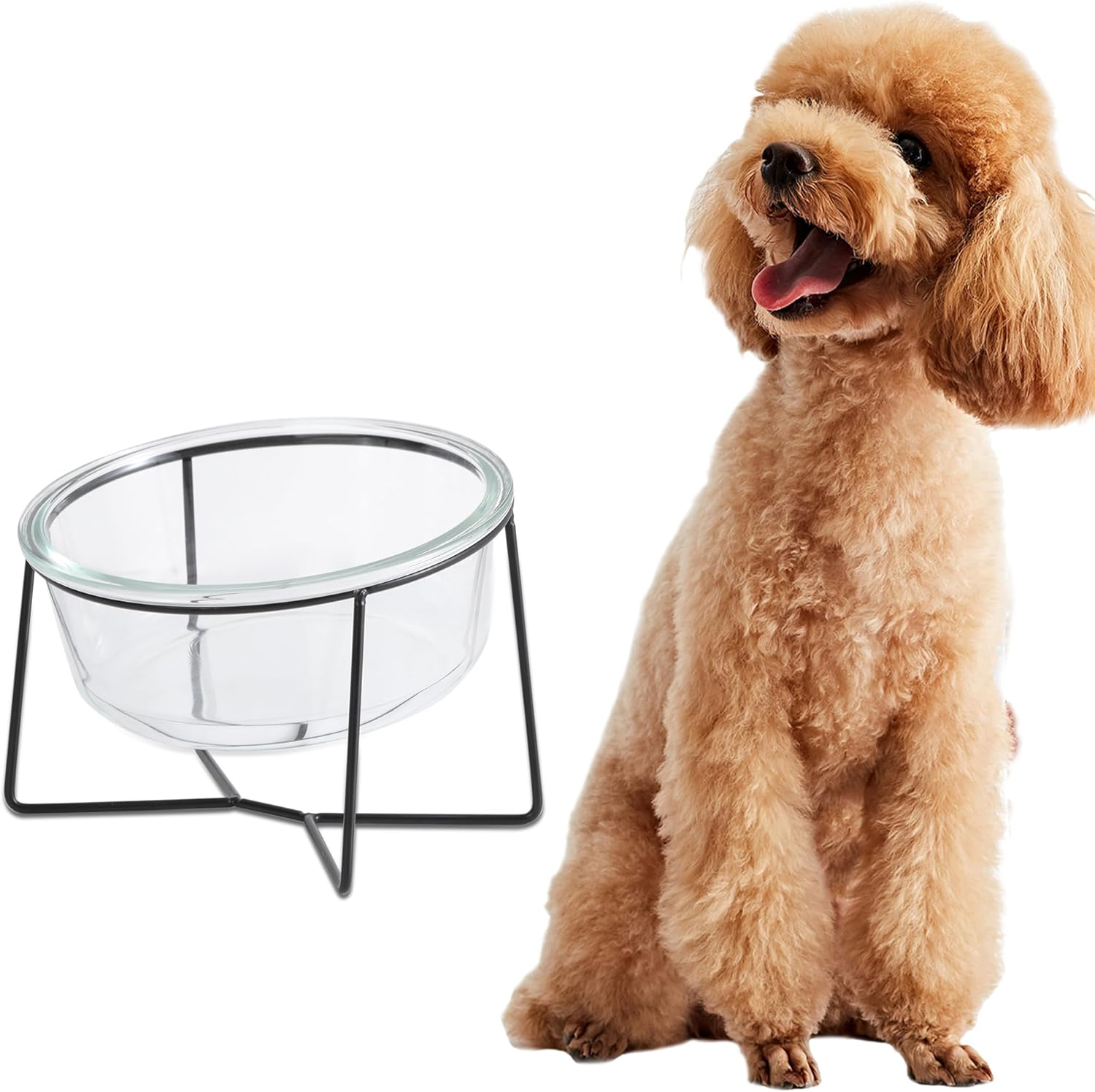 Raised Ceramic Dog Bowl with Metal Stand - Double Bowls for Food and Water - Feeding Bowl for Cats and Small to Medium Dogs - White