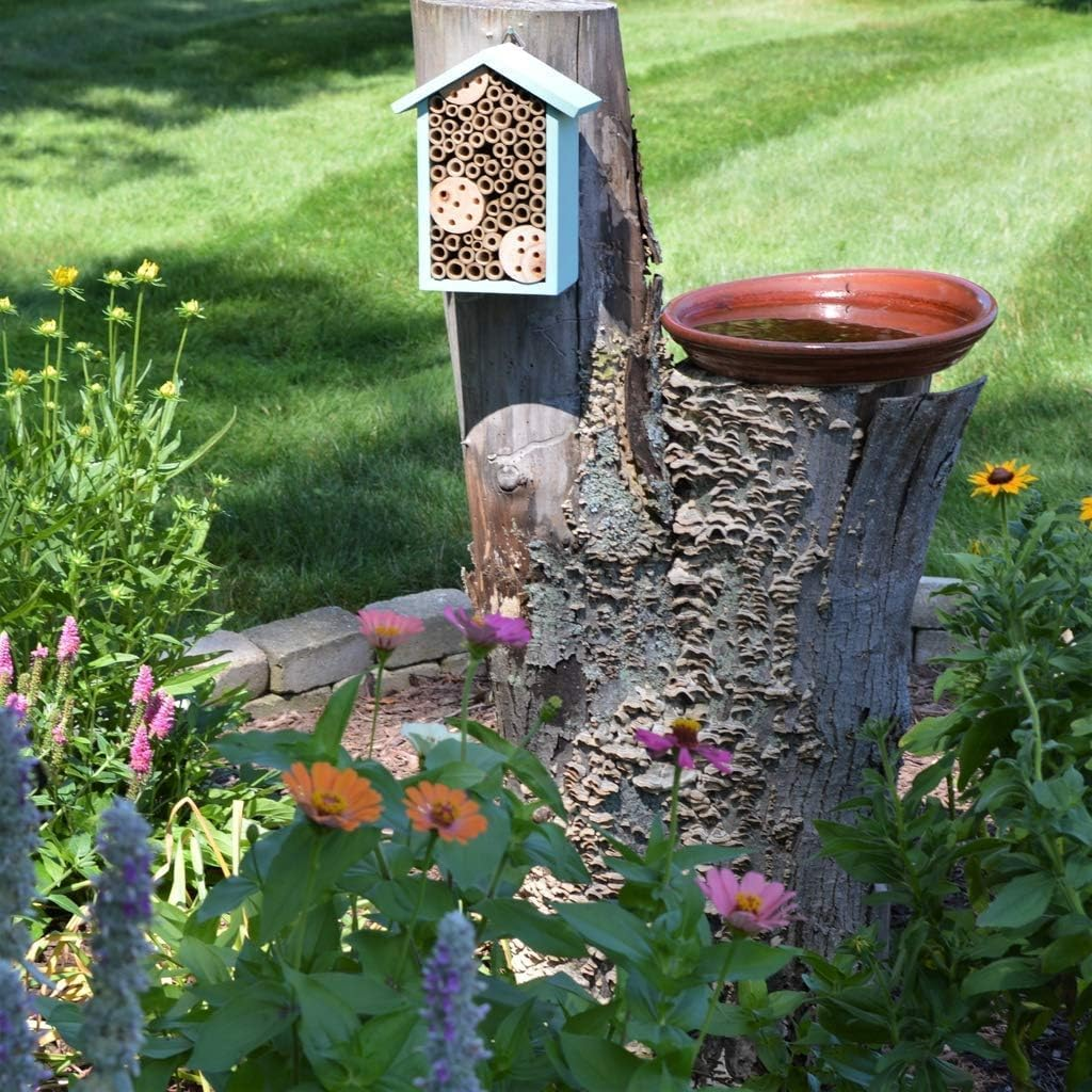 Nature'S Way Bird Products PWH1-C Teal Bee House - Teal image number 4