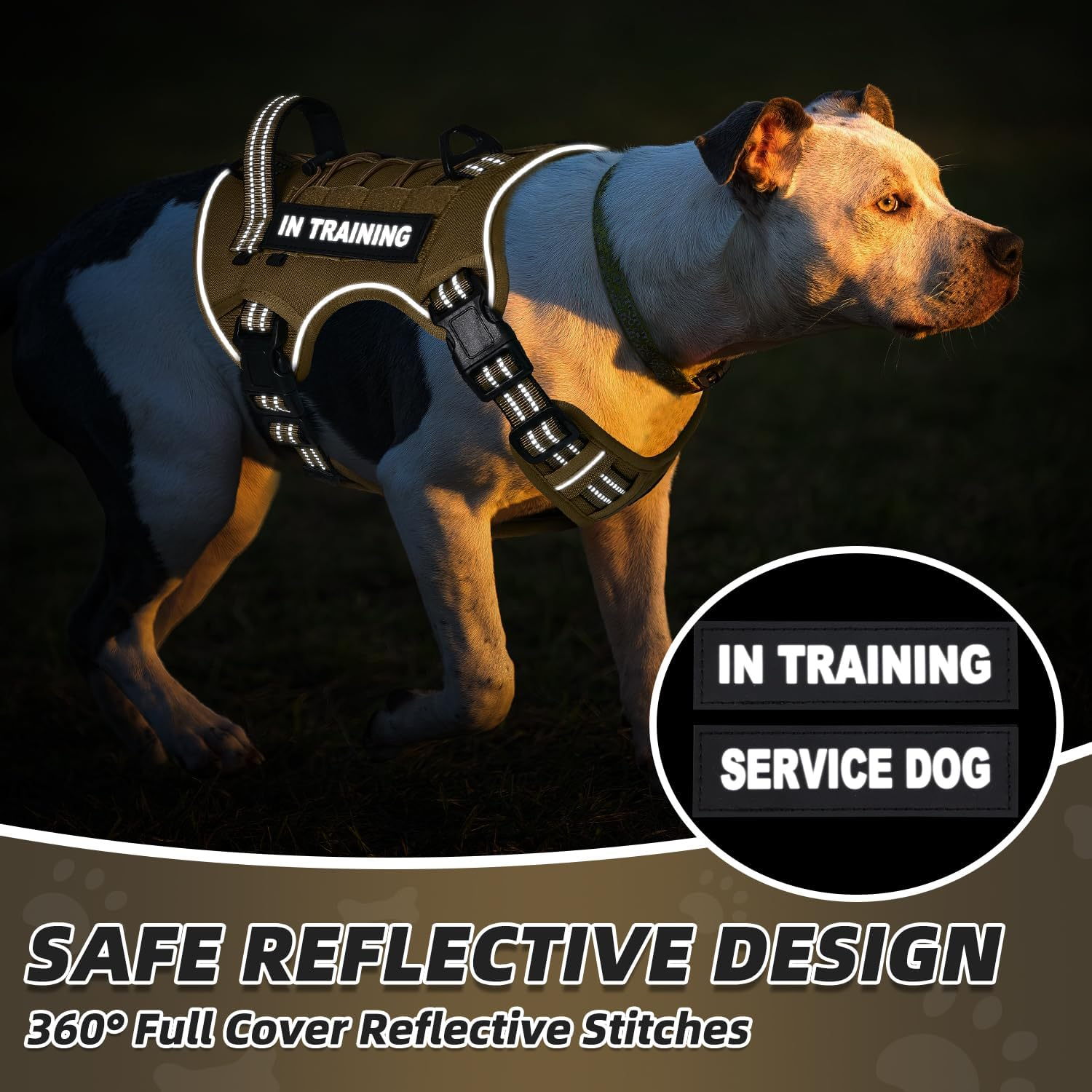 Slowton No Pull Tactical Dog Harness, Adjustable Dog Vest with 3 Buckles, 2 D-Rings & Padded Handle, Easy to Put On, Reflective Pet Harness with Molle System for Dogs Outdoor Walking Training image number 6