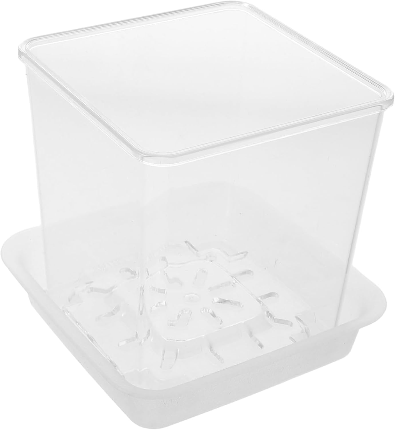 NAMOARLY Interactive Mini Plant Pots Hydroponic Design for Root Growth Observation Boys and Girls Seedling Pots Planters for Indoor Gardening Educational Planters image number 6