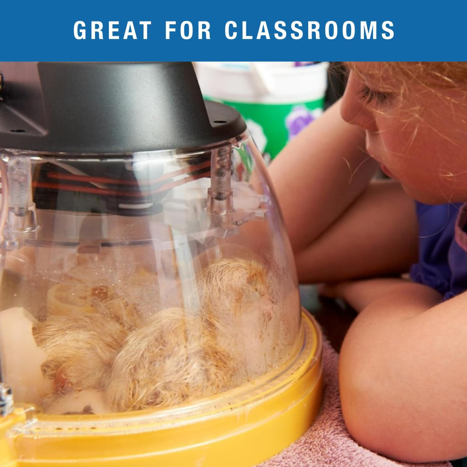 Brinsea Products Optional Egg Insert to Hatch 12 Small Eggs in the Advance Incubator, Mini image number 2