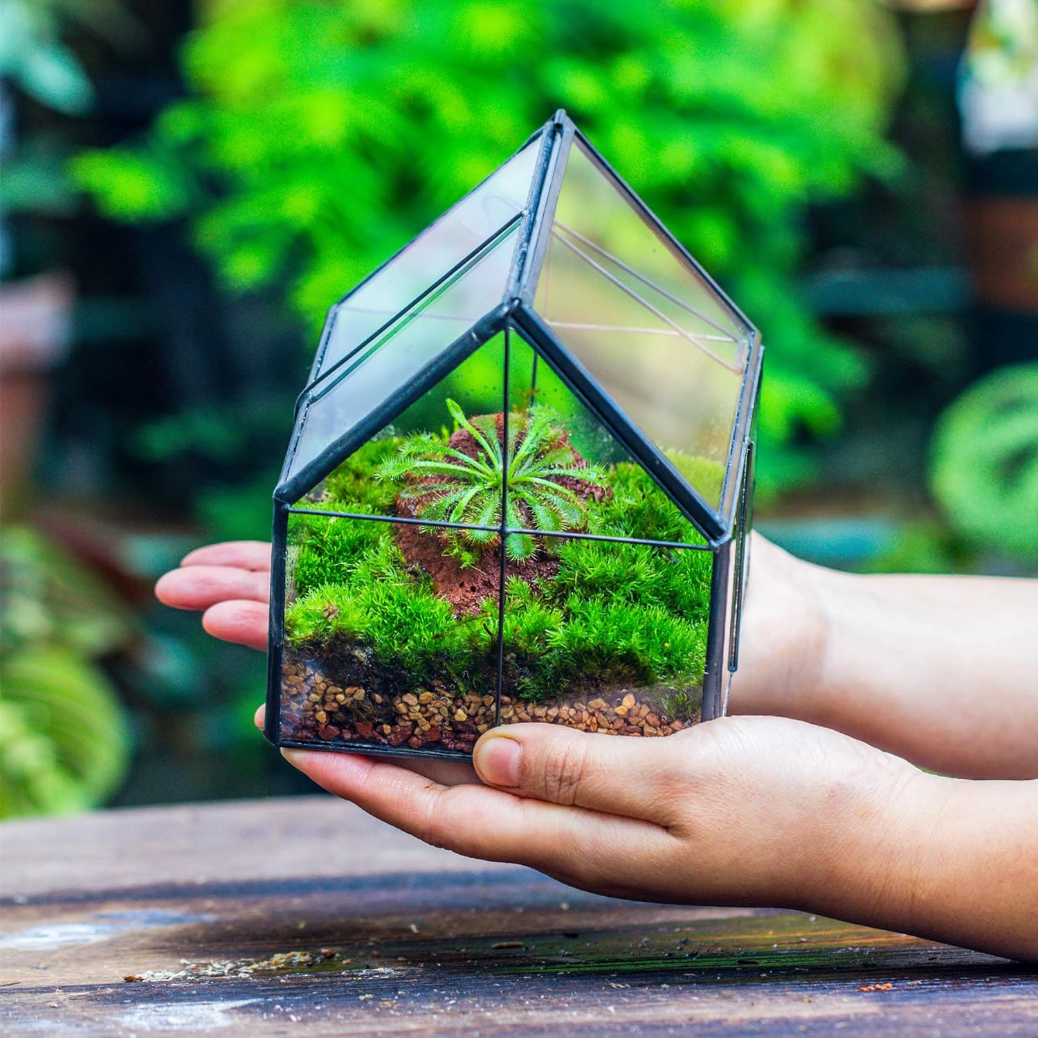 NCYP Mini Glass Geometric Terrarium with Lid - 4.25" X 4.25" X 4.92" Small House Shape Close Planter Pot for Succulents Plant - Handmade, Home Garden Office Tabletop Decor, Black (Terrarium Only) image number 4