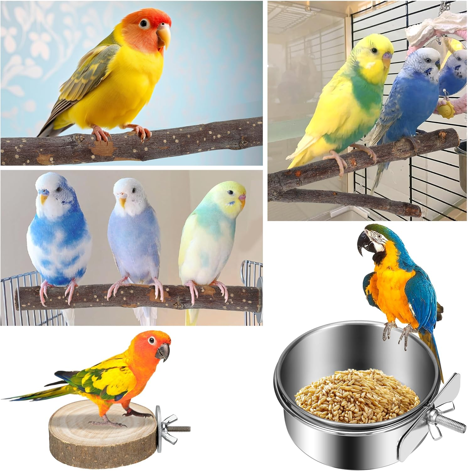 Bird Perches 9 Pack, Parakeet Toys Wooden Parrot Stand Branch, Bird Cage Accessories with Bird Feeding Cup, Bird Toys for Cockatiels Small Birds image number 4