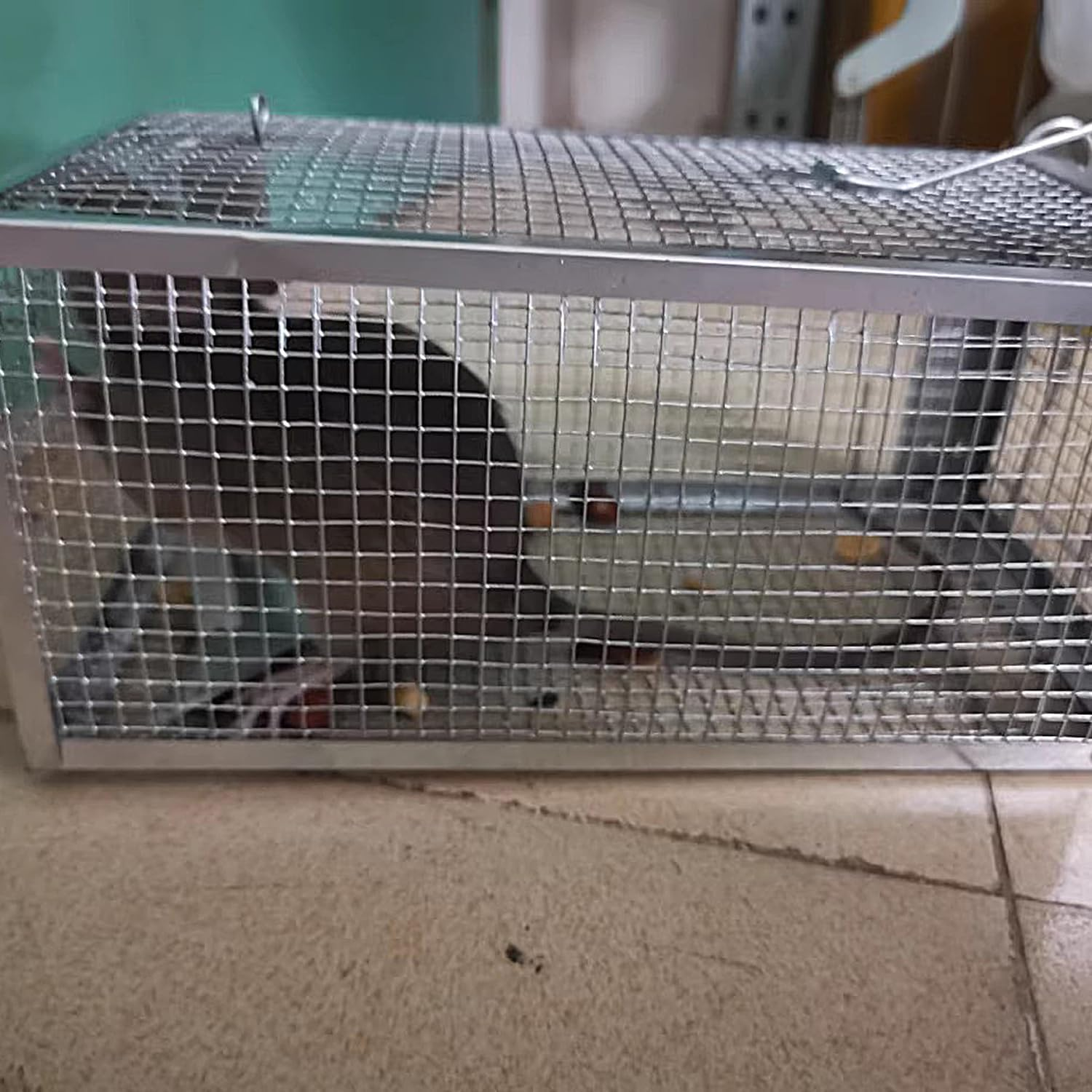 Humane Mouse Trap No Kill for Mice, Rat Cage Trap Suitable for Capturing Mice or Hamsters Alive, Best Indoor Outdoor Mousetrap Catcher Non Killer Small Mole Capture Cage, Friendly Small Animal (Plata) image number 3