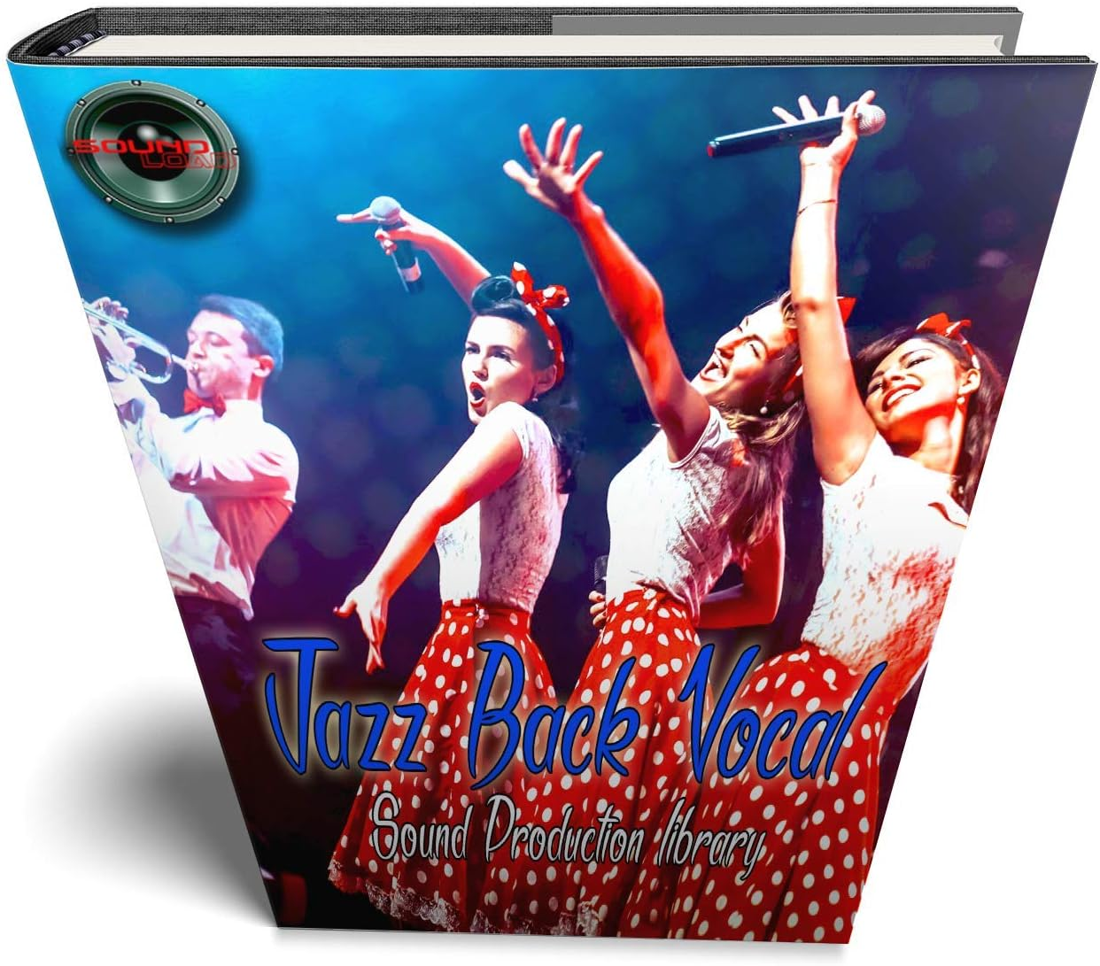 Hip-Hop Back Vocal - HUGE 24 Bit Waves Samples Production Library 10 000!!! Object on DVD image number 4