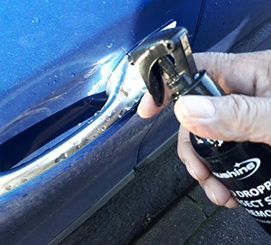 Nushine Bird Dropping and Insect Strike Remover Spray 250Ml (Ecofriendly Formula) image number 4