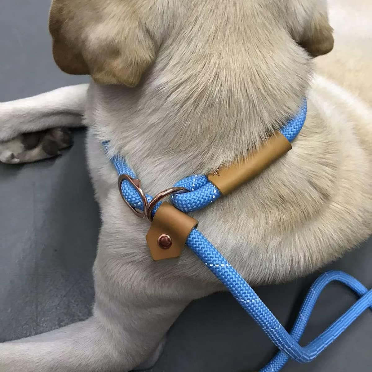 6FT Reflective Rope Slip Leash for Dogs, Slip on Leash Large Dogs, Slip Lead Dog Loop Leash for Large Medium Dogs - Beige image number 2