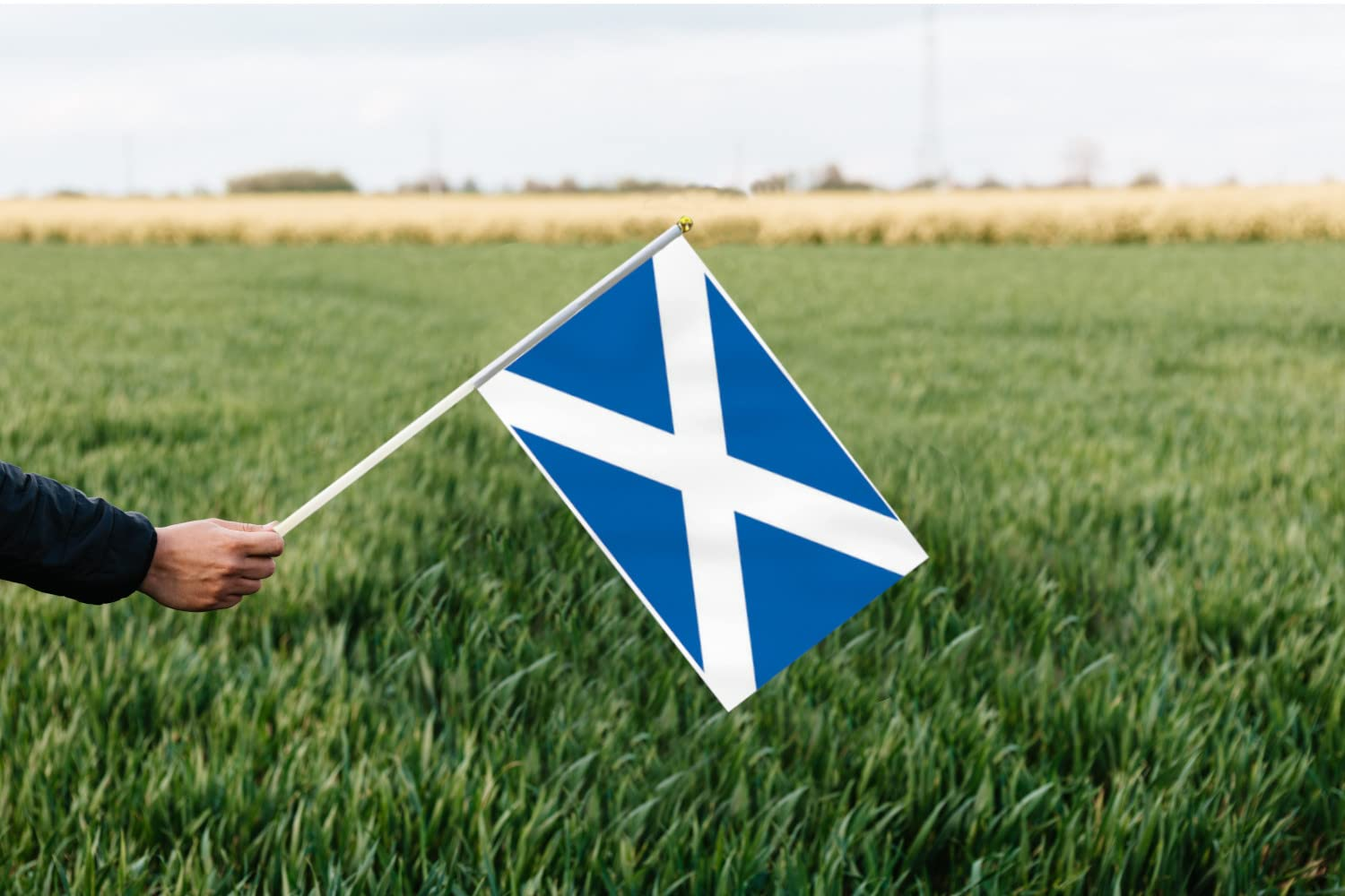 10 PCS Handheld Scotland Flag,8.5&times;5.5 Inch Hand Held Mini Scottish Flags Banner for Indoor Outdoor Parade Waving the Tlag and Shouting image number 2