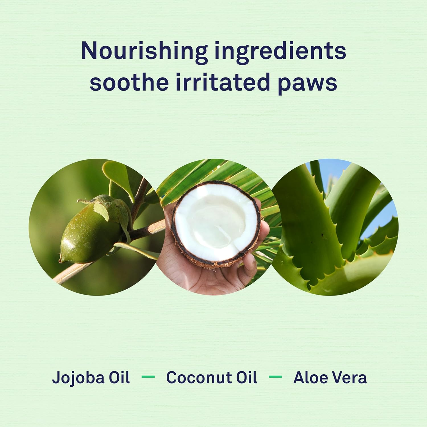 Petpost | Paw Wipes for Dogs - Nourishing, Revitalizing Dog Paw Cleaner with Coconut Oil, Jojoba Oil, and Aloe - Ultra Soft Cotton Pads - Cherry Blossom Scent 70 Ct image number 6