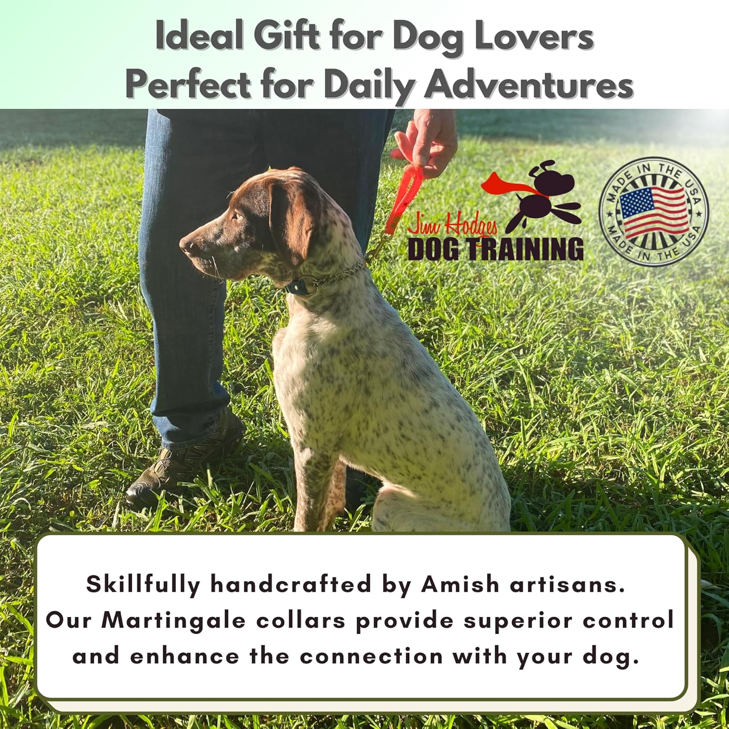 Jim Hodges Dog Training Martingale Collar for Dogs, Biothane, Stainless Steel Hardware, No Pull, Made in the USA, Professional Grade, Medium, Black image number 3