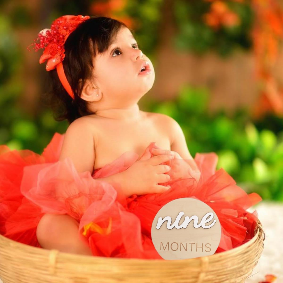 3D Wooden Monthly Milestone Cards, Monthly Milestone Marker Cards, Newborn Memento Milestone to Document Growth, Pregnancy Journey Sign -Incl Announcement & Hello World Sign. image number 3