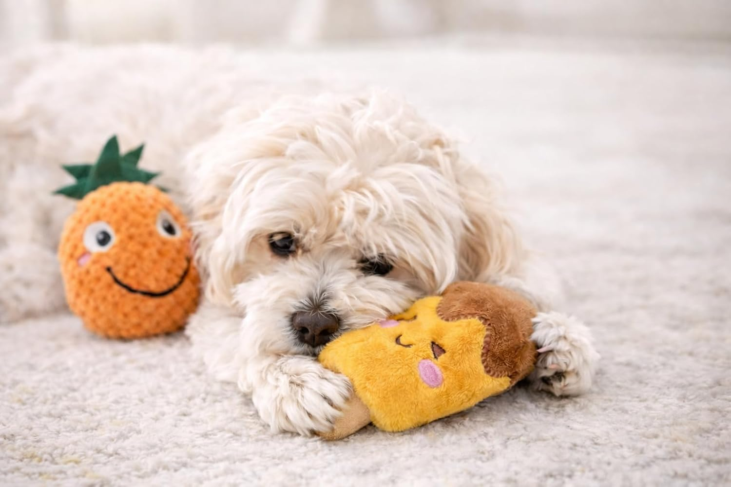 Jalousie 18 Pack Dog Squeaky Toys Cute Stuffed Pet Plush Puppy Chew for Small Medium Pets - Bulk image number 5